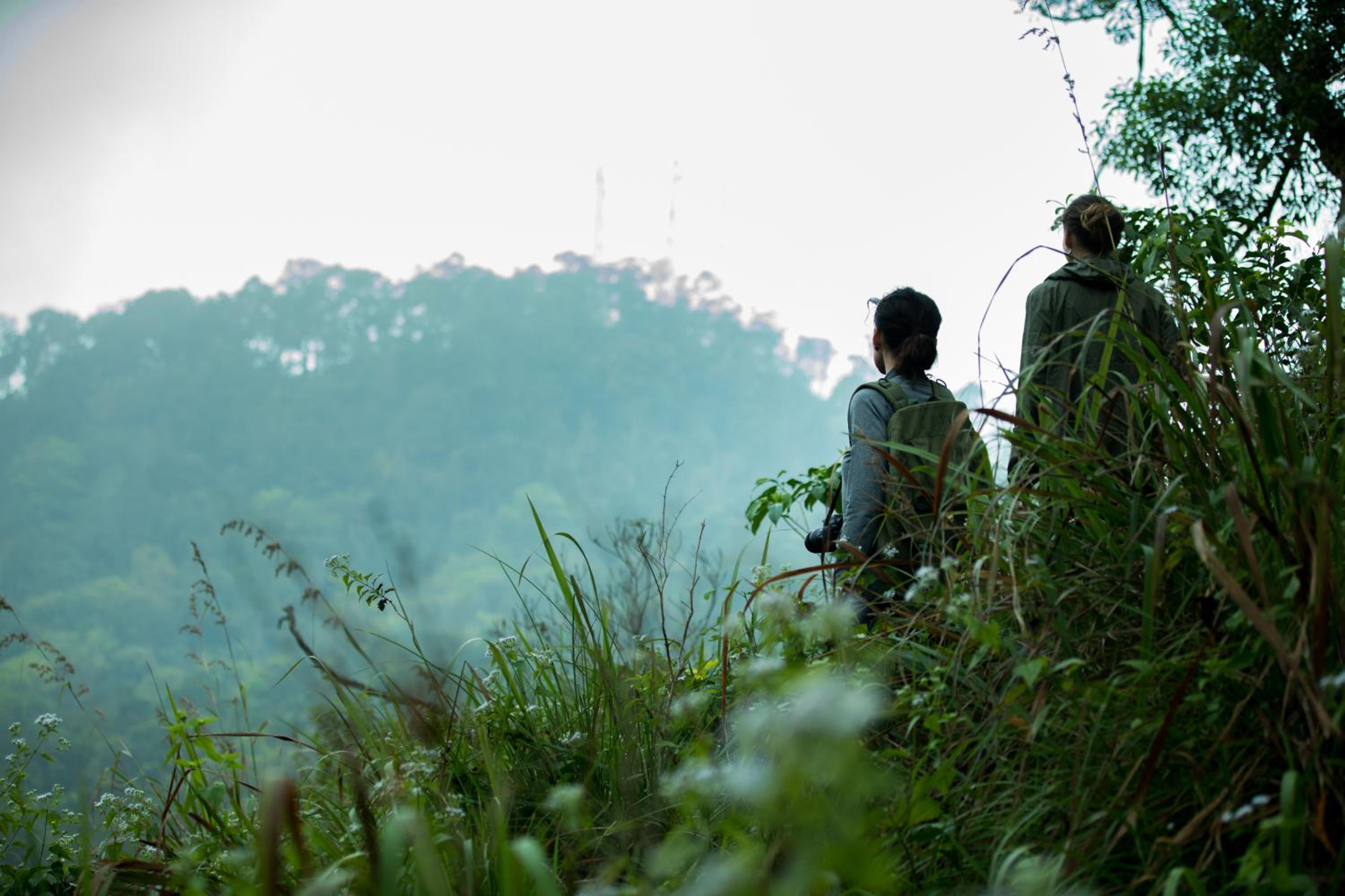 Wayanad Wild - A CGH Earth Experience