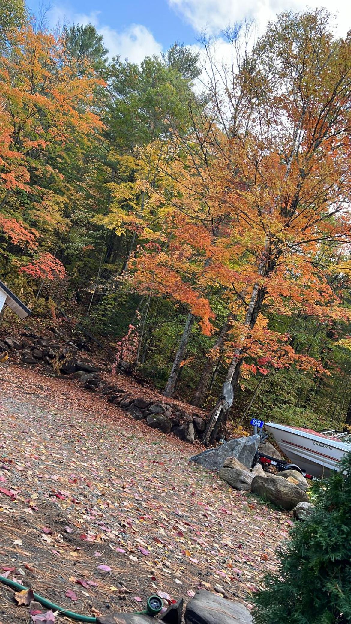 Cozy front lake cottage!