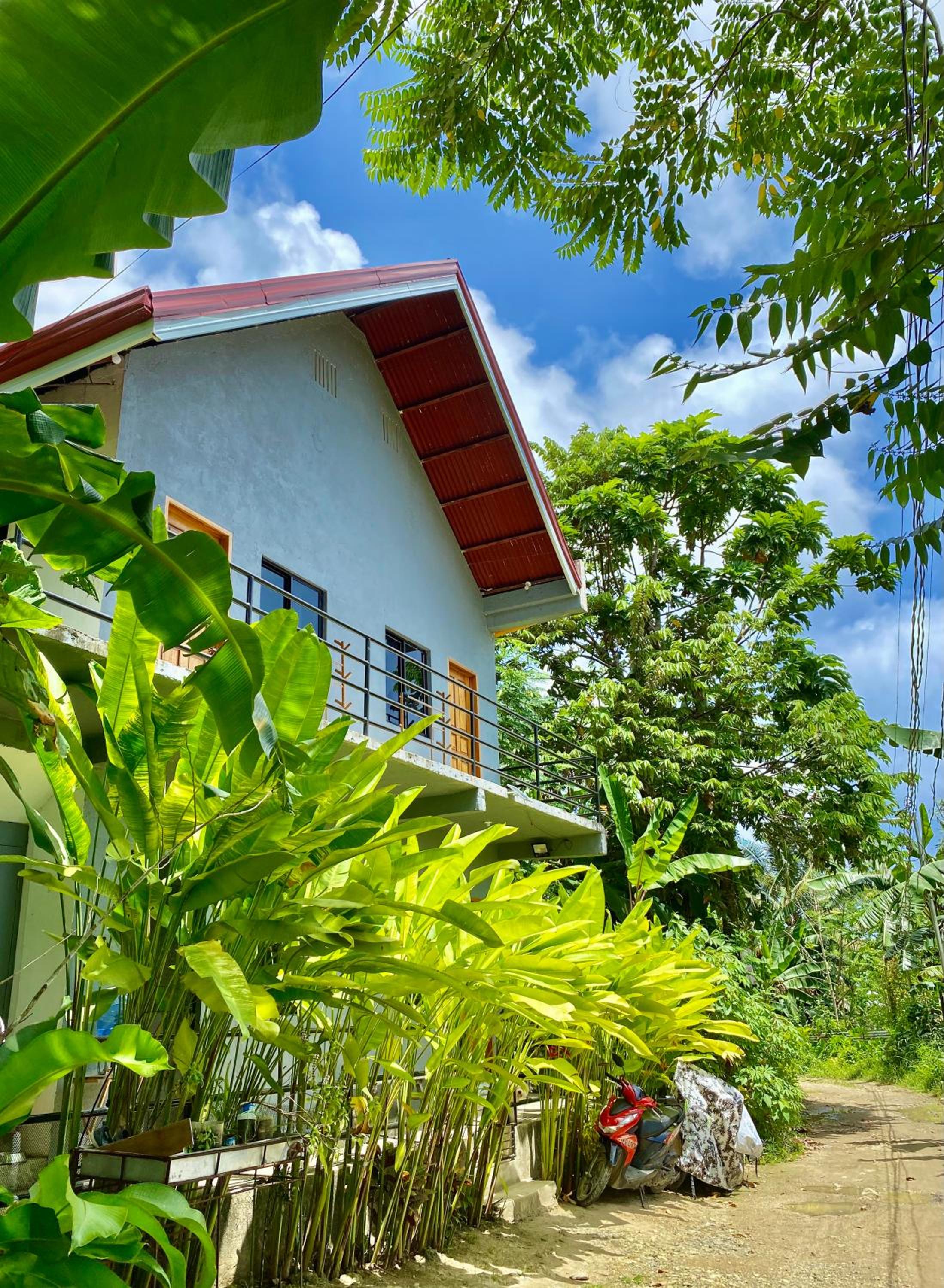 Hidden Grove GuestHouse view 2