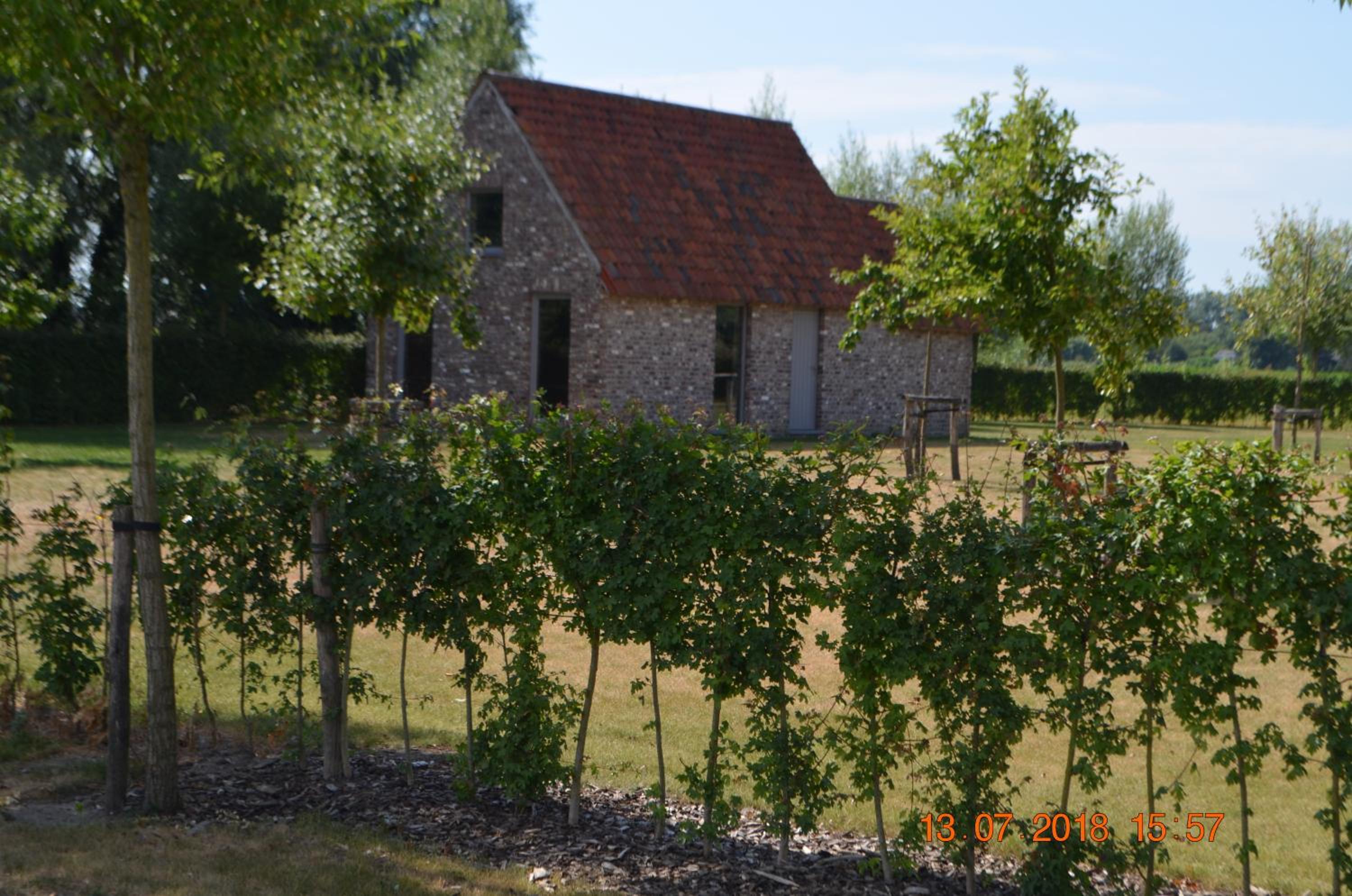 Photo 31