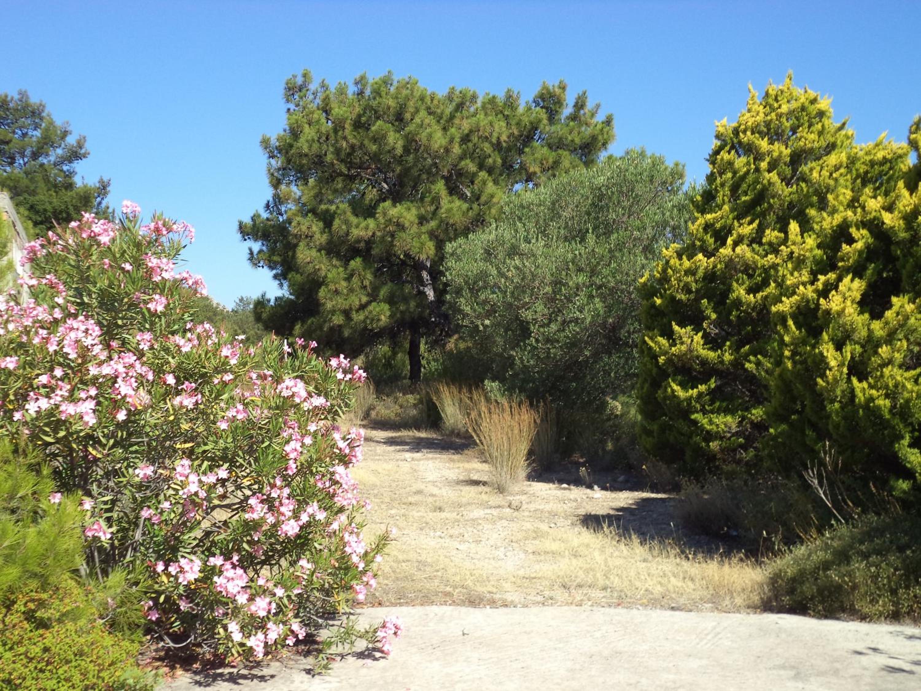 Villa Paradisos Archangelos