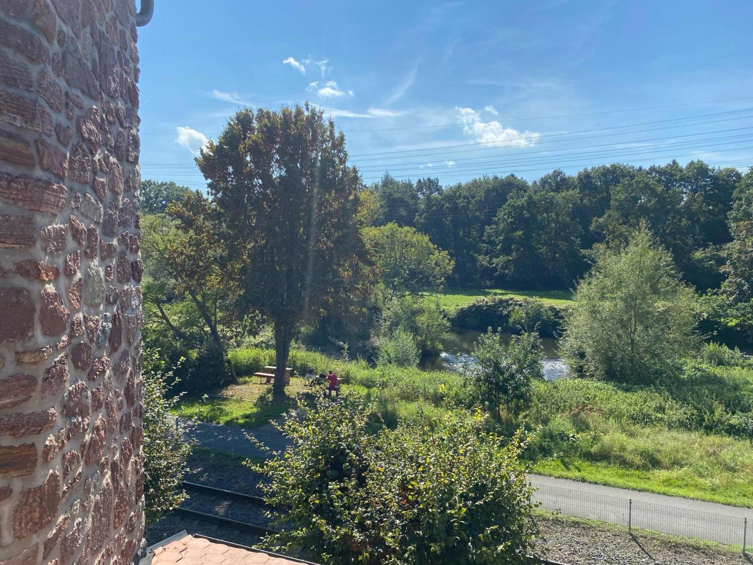 Ruhr-Wald-Blick