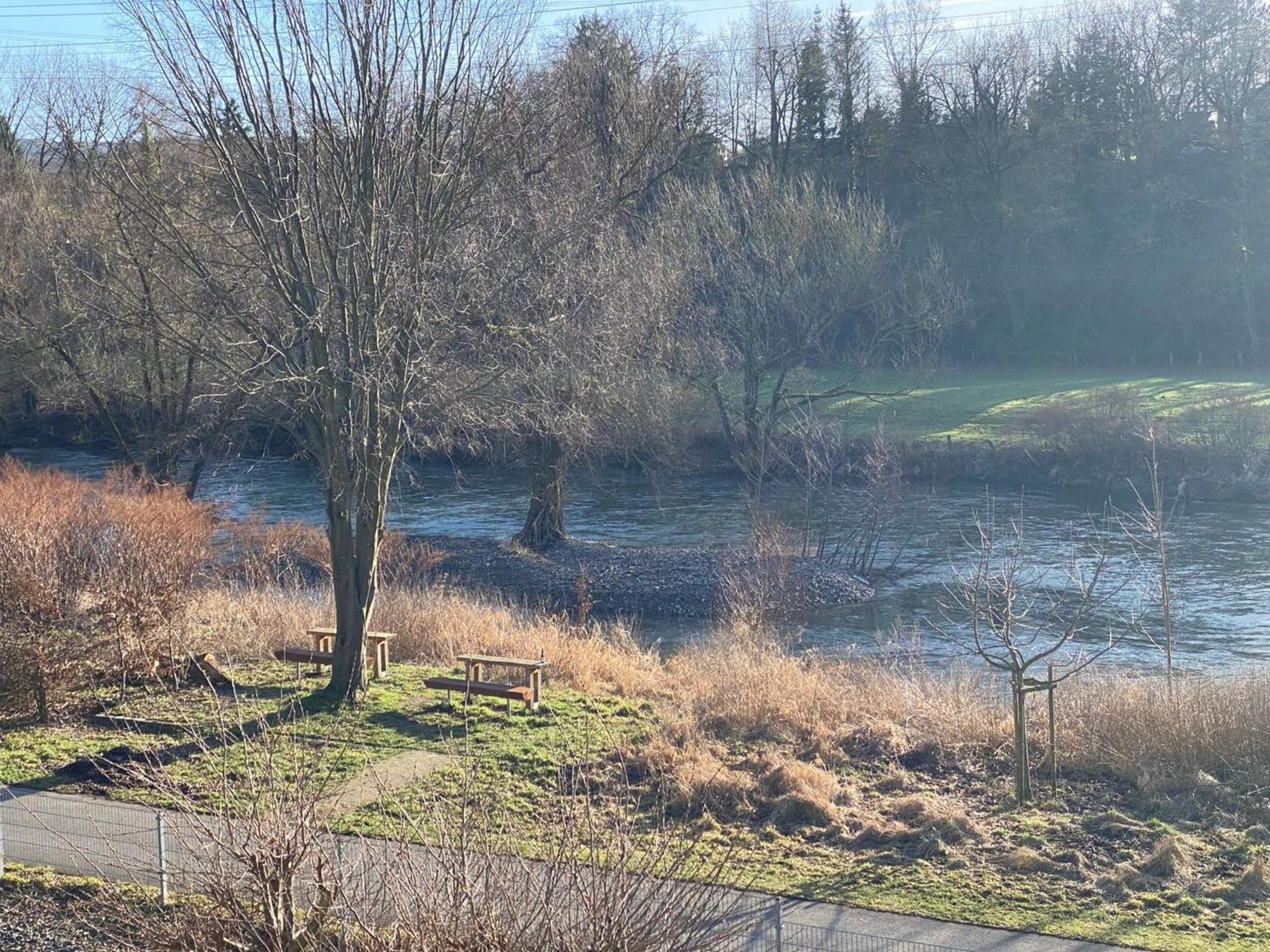 Ruhr-Wald-Blick