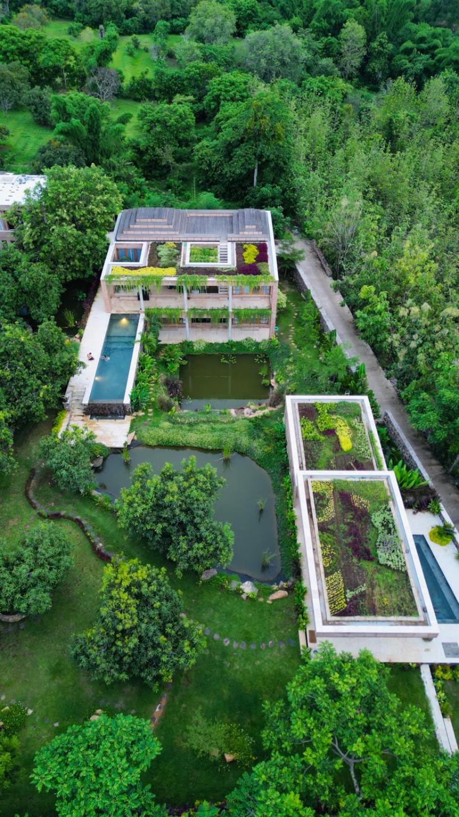 The Pondhouse