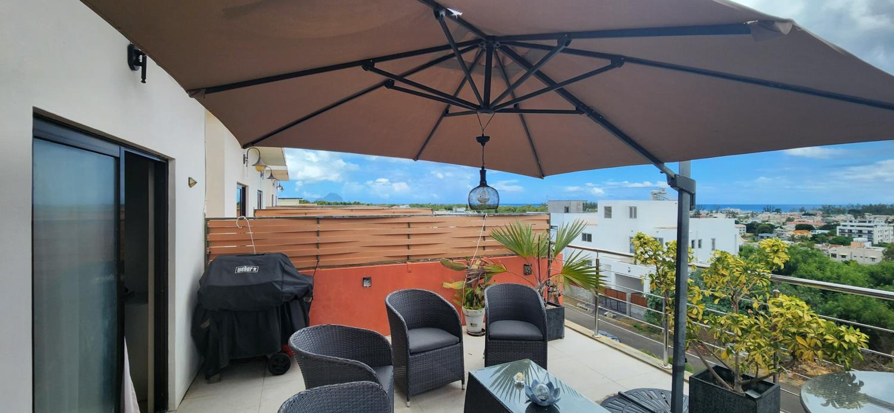 Palmyre Oasis view 5