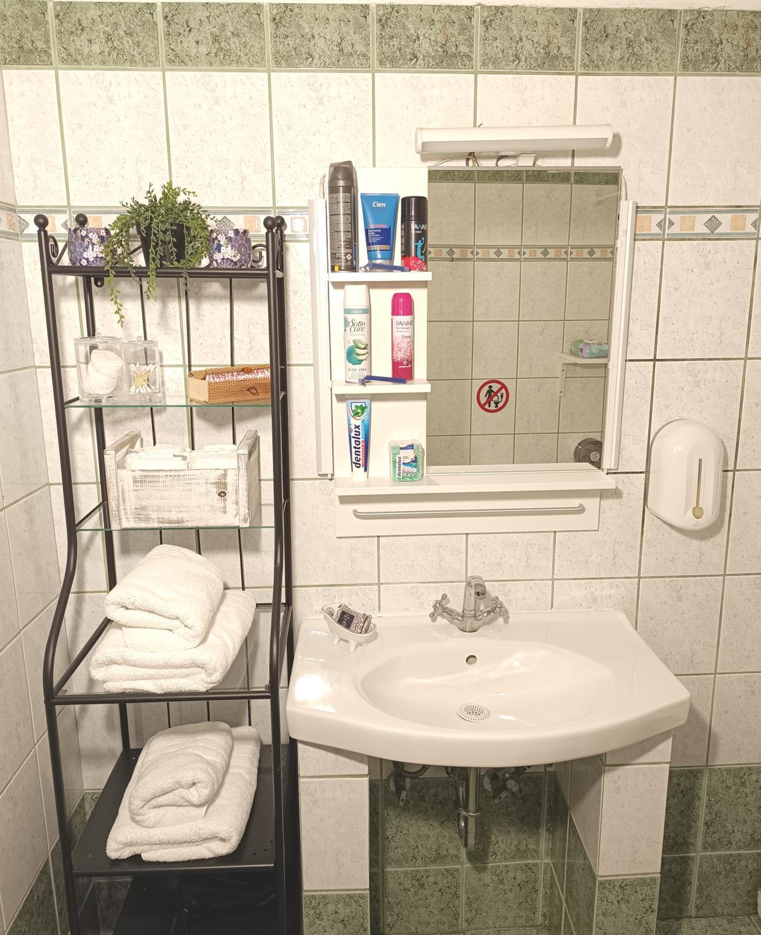 GEORGIA APARTMENT ATHENS AIRPORT photo 5