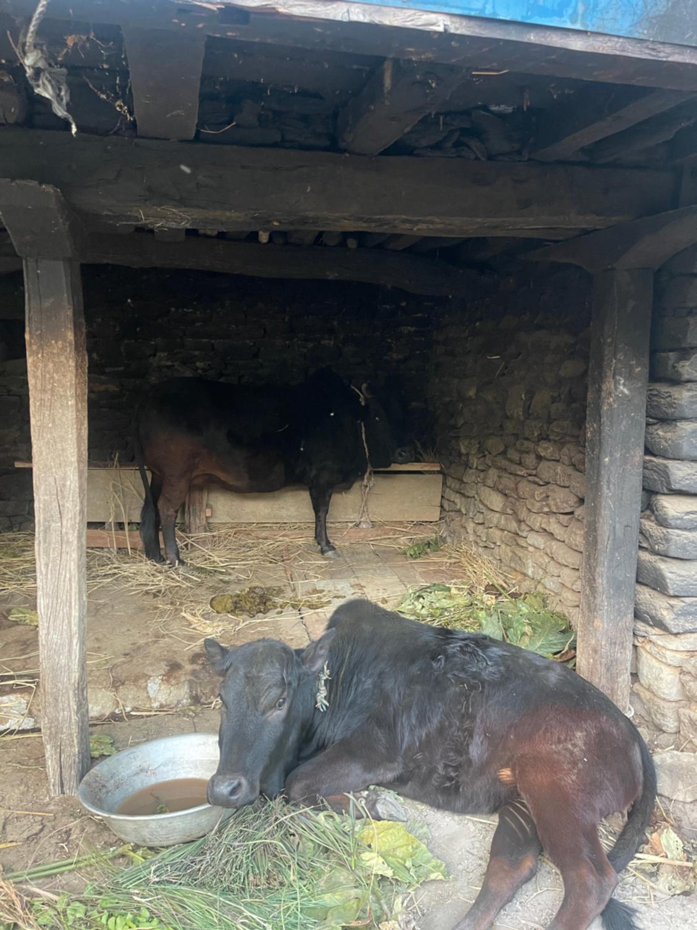 HarroBarro Farm