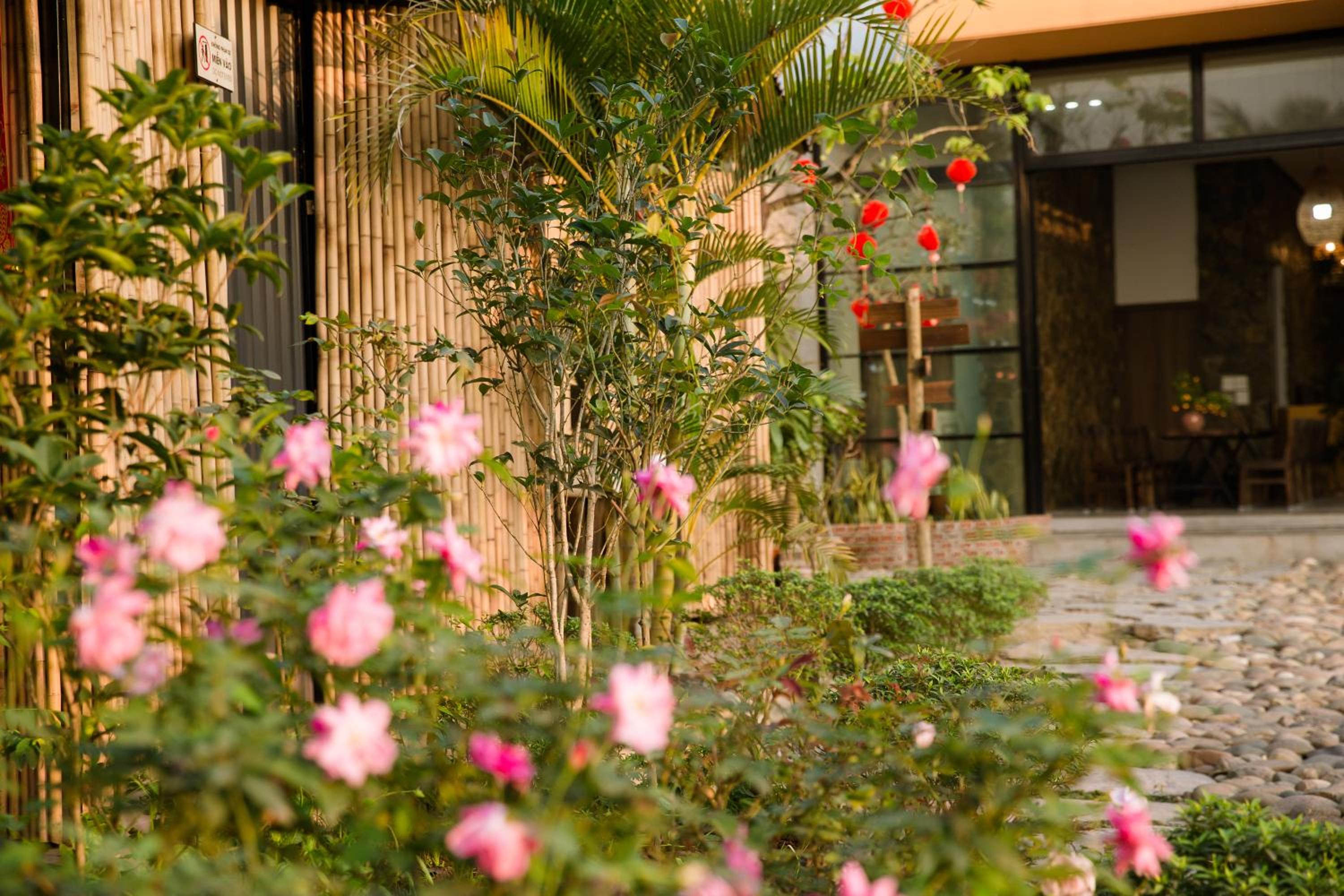 Trang An Cozy House