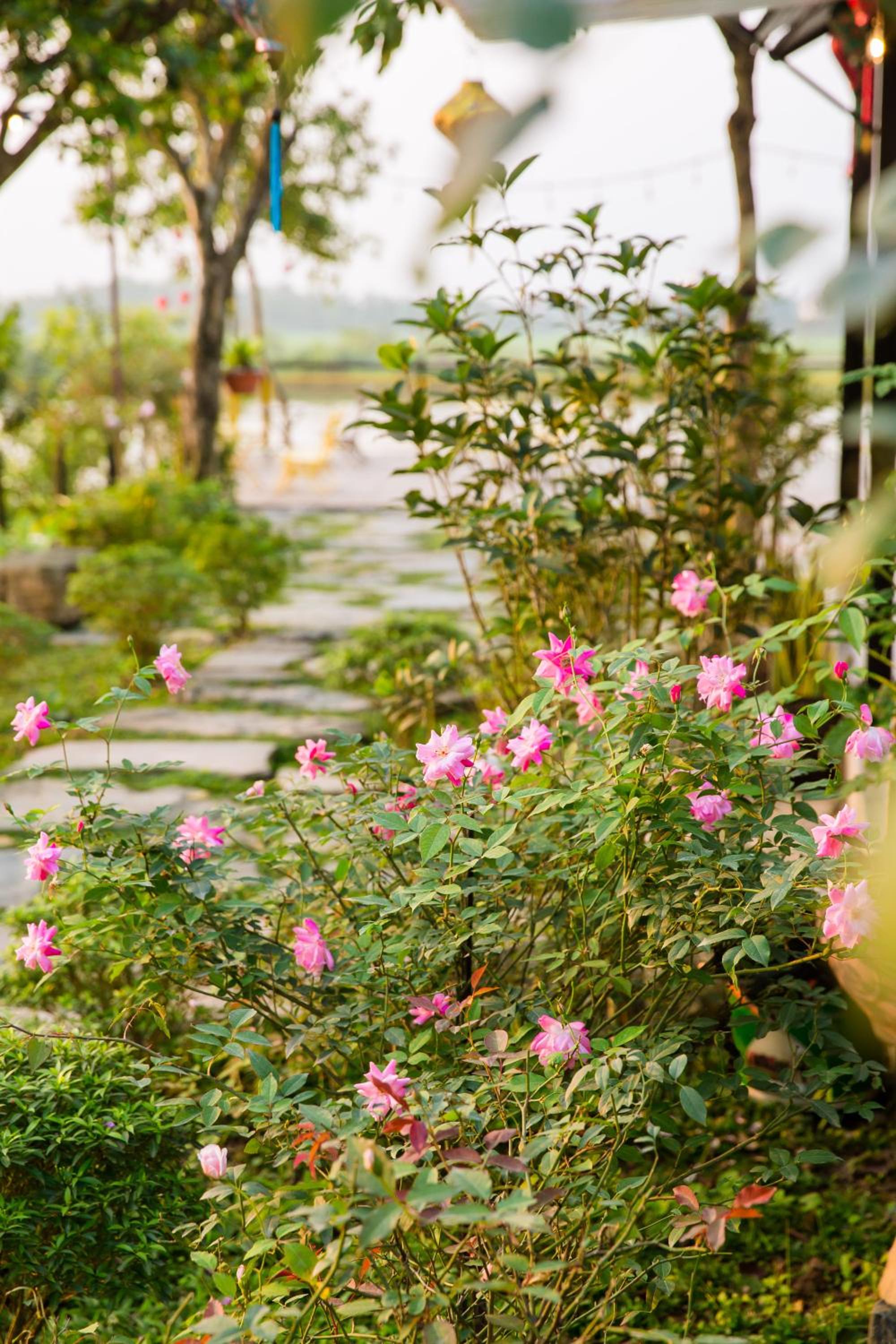 Trang An Cozy House