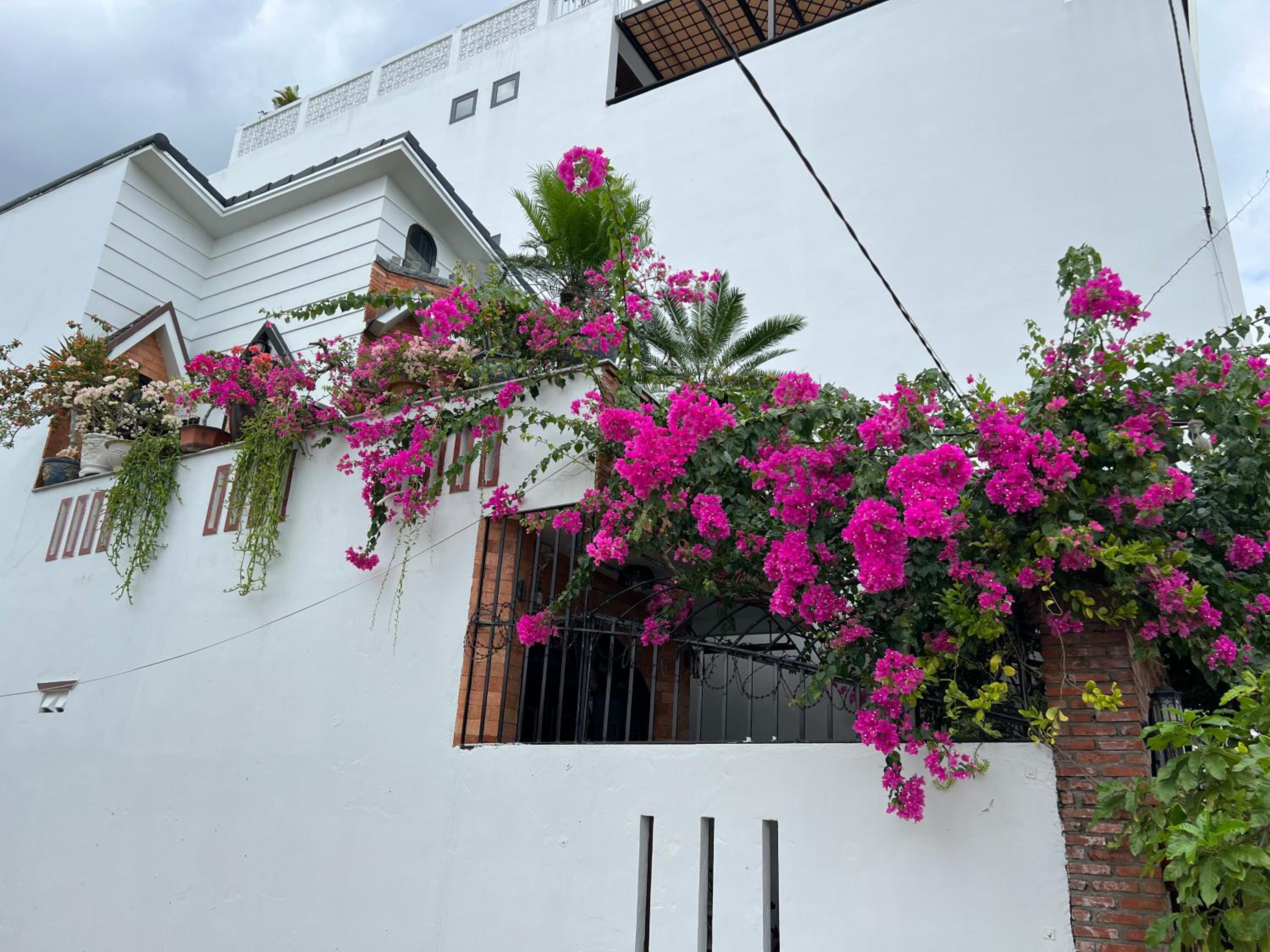 Homestay Phúc Lâm view 3