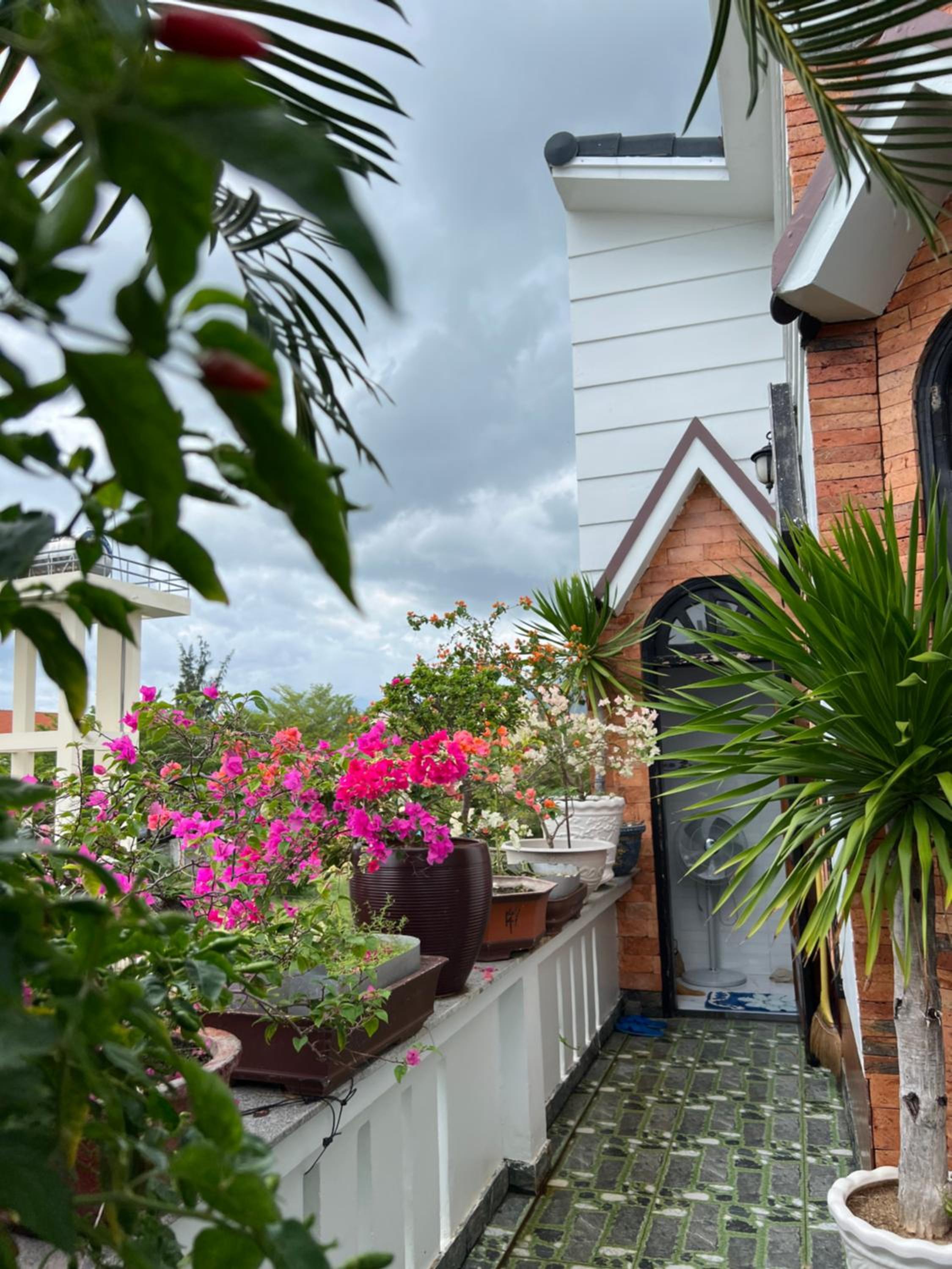 Homestay Phúc Lâm view 2