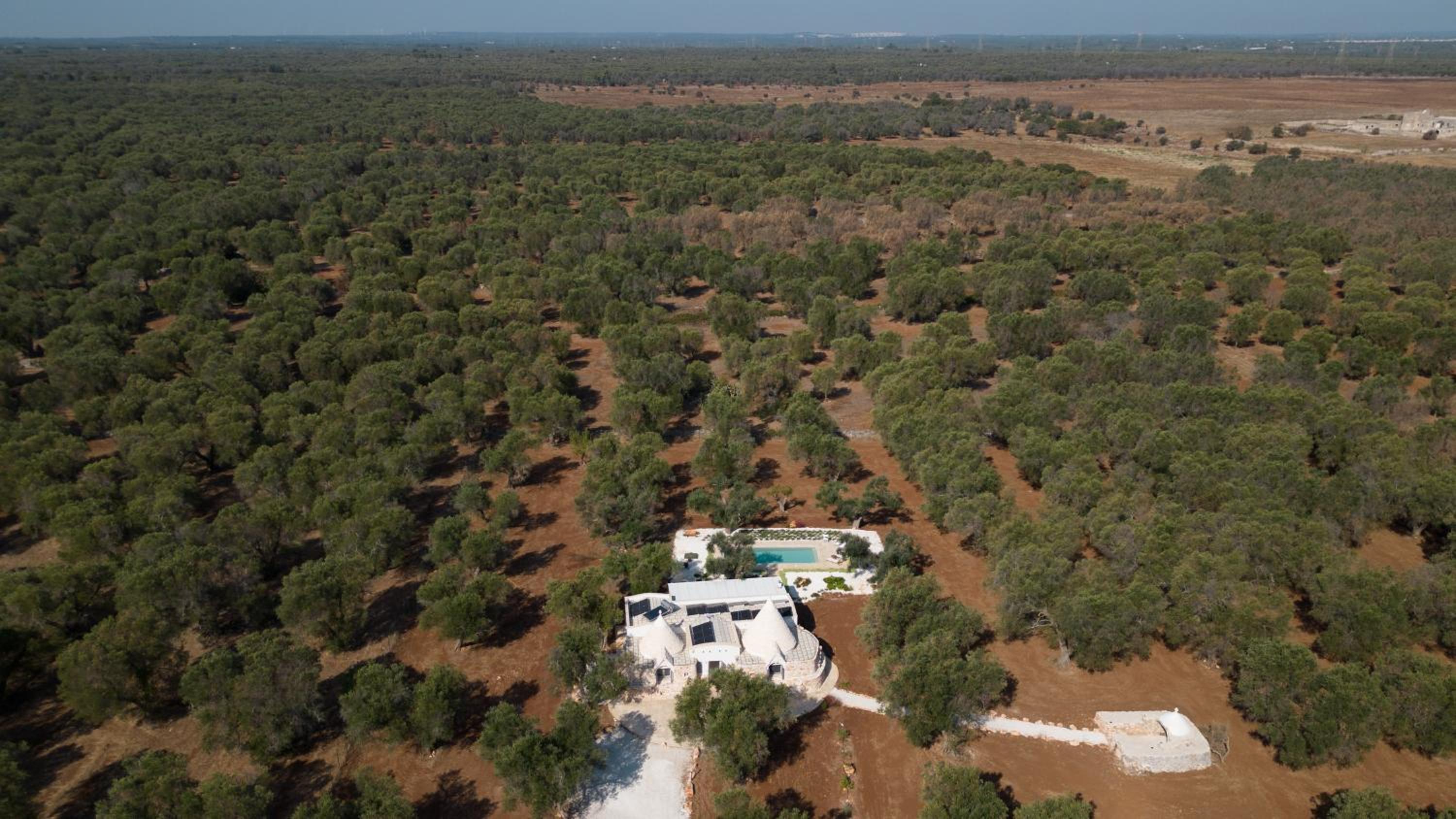 Trullo LupoCaruso