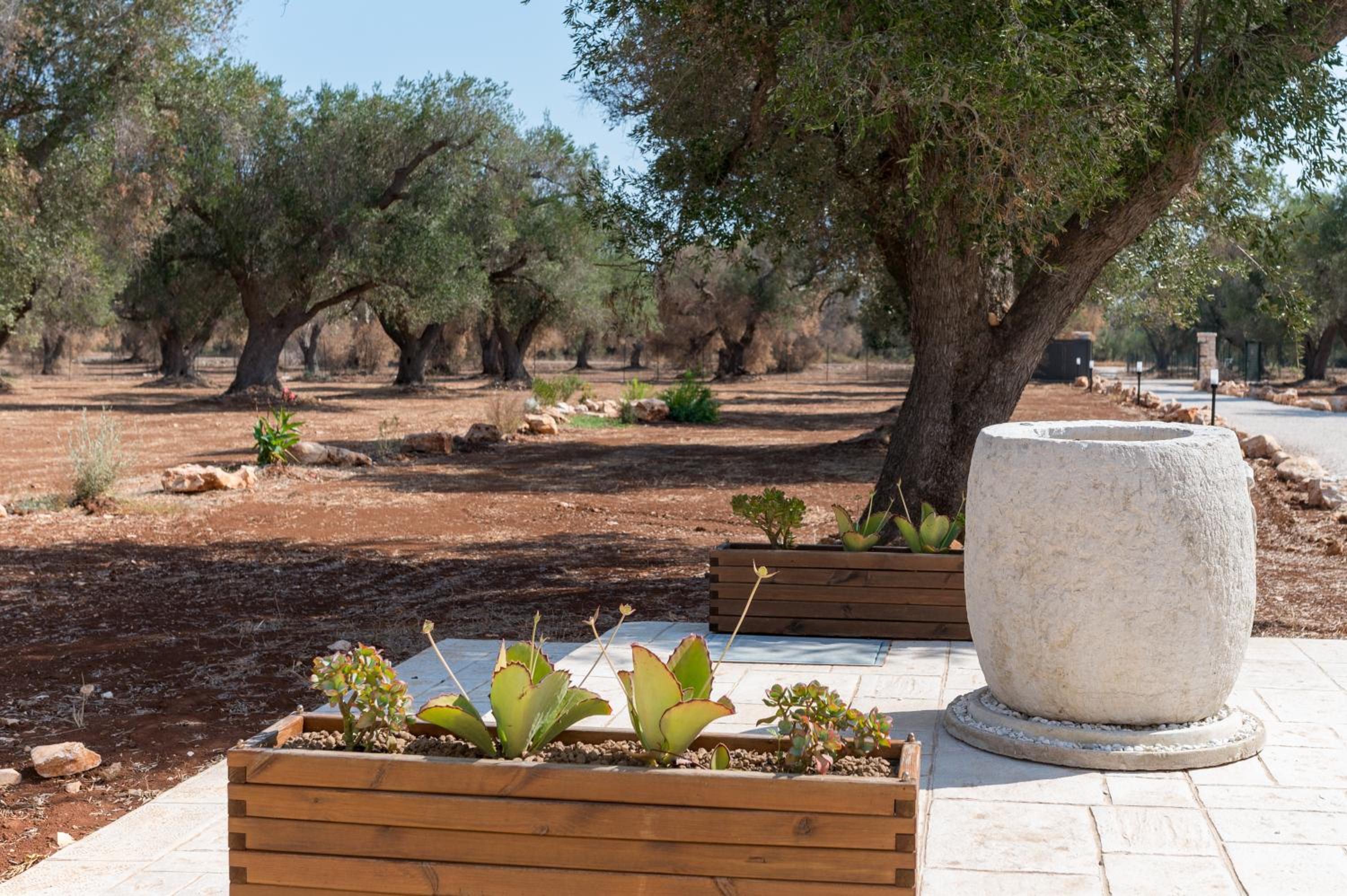 Trullo LupoCaruso