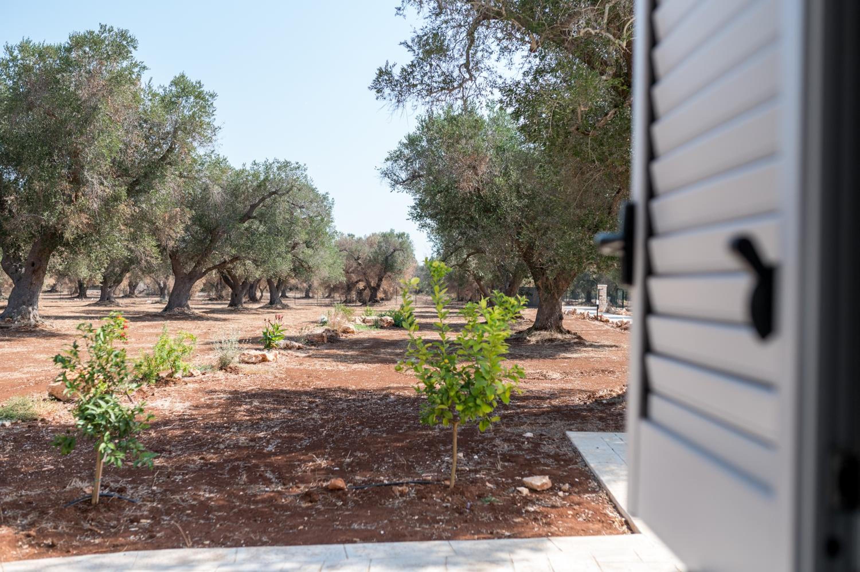 Trullo LupoCaruso