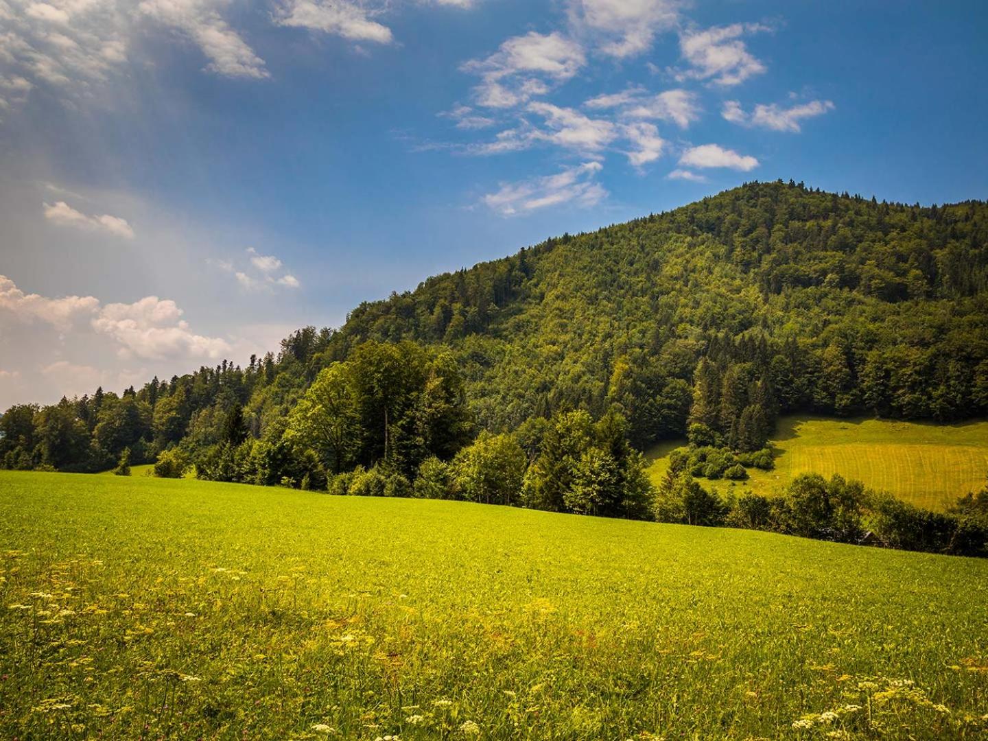 Kesselmannhof in Faistenau