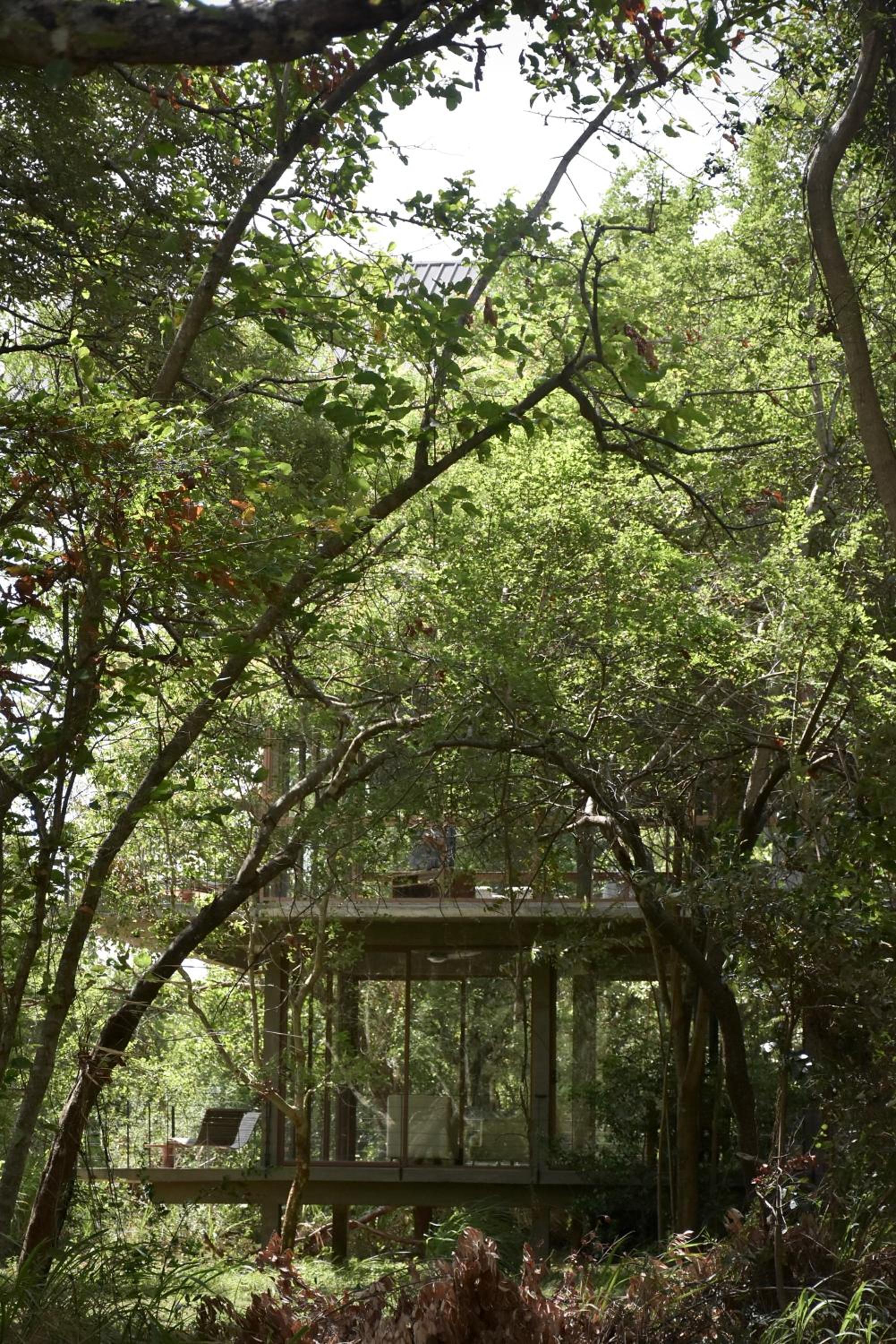 Wild Grass Nature Resort, Sigiriya - 18