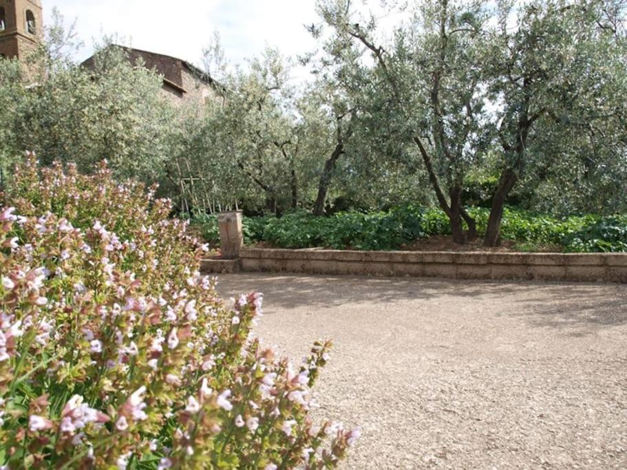 Casa Passero Orvieto