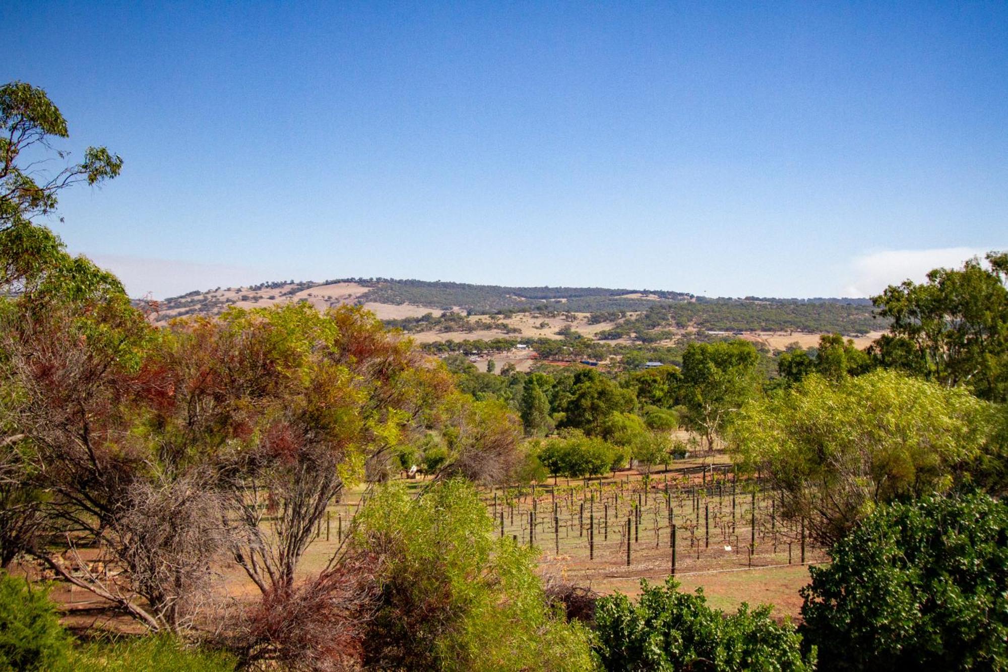 Pecan Hill BNB