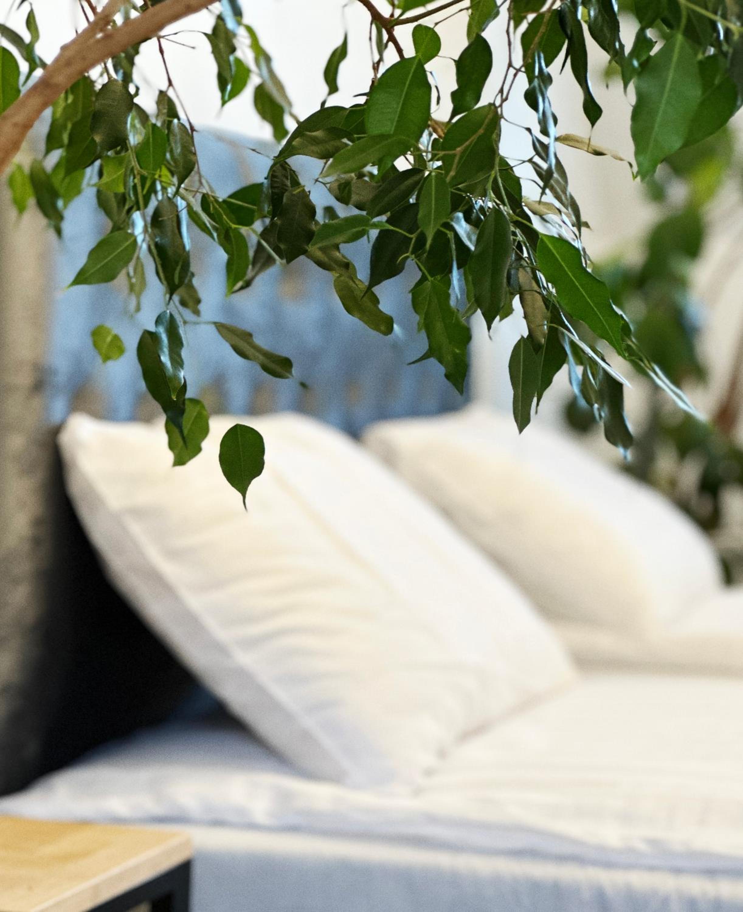 Green Hill Lodge Modern and Stylish Loft Apartment in the Prestigious Central Area view 5