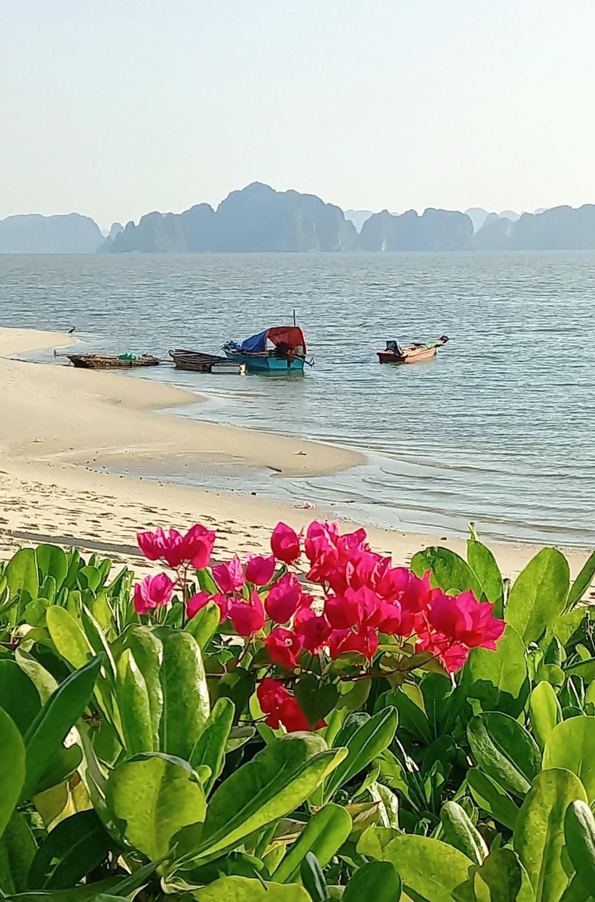 The Wonder Bay Halong studio view 4