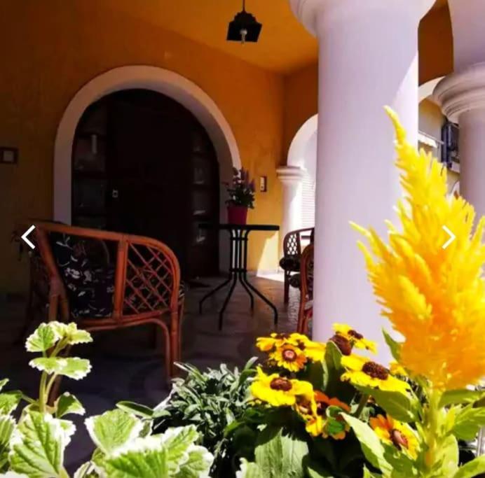 Villa Miranda