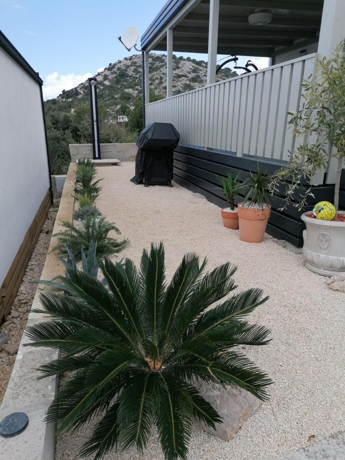 Photo 46