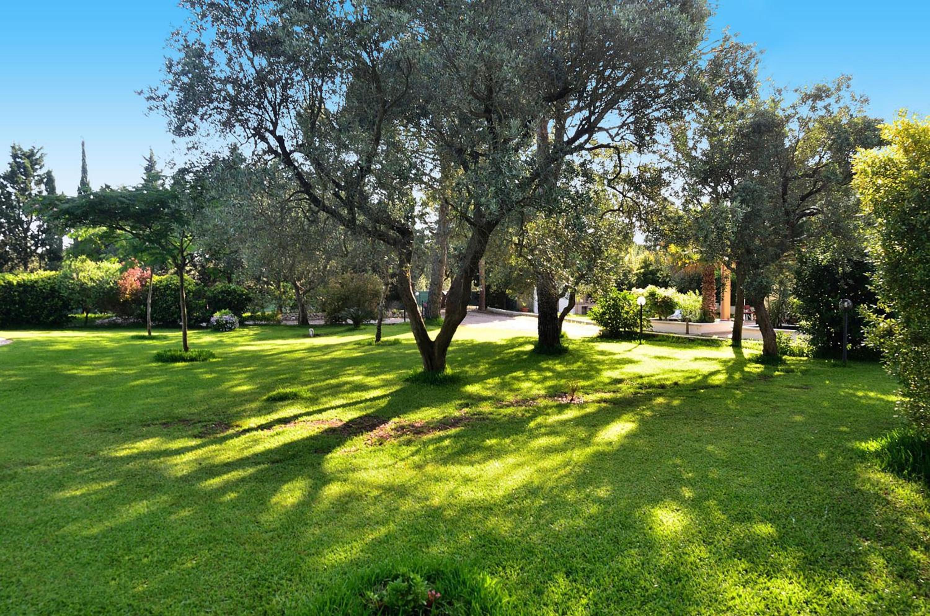 Tenuta Primaterra