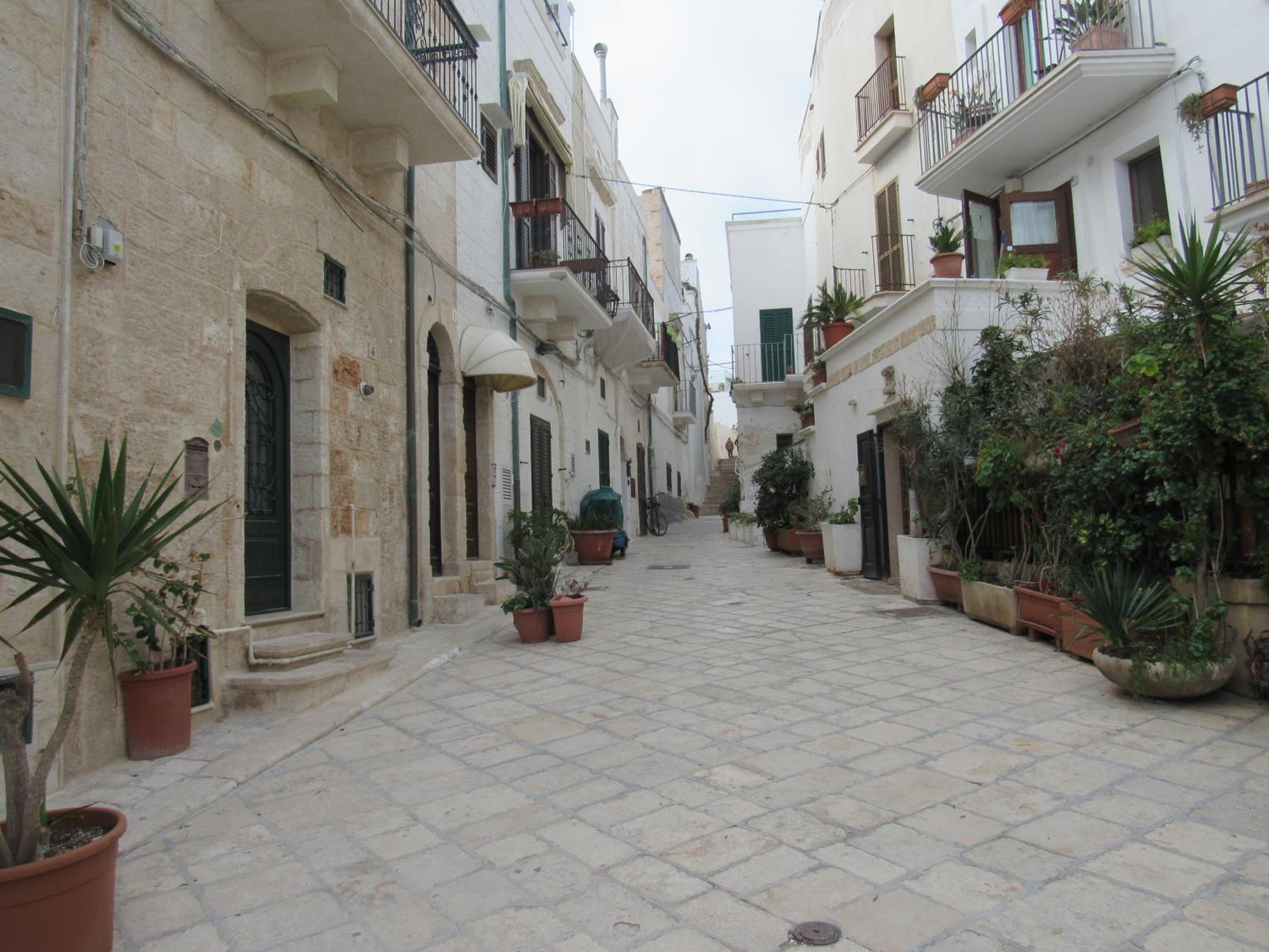 Camera Chiara view 3