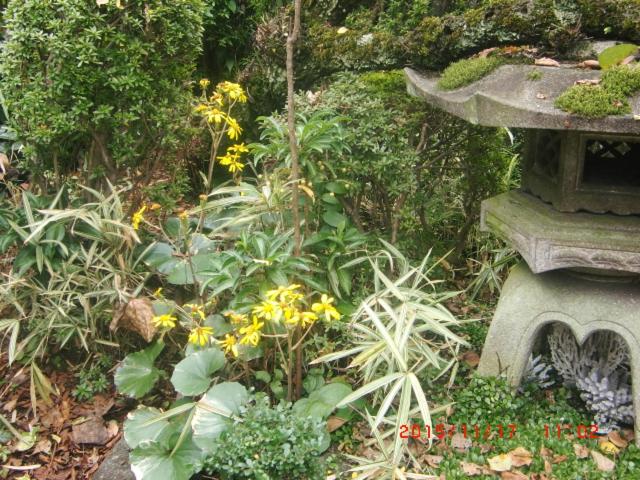 other