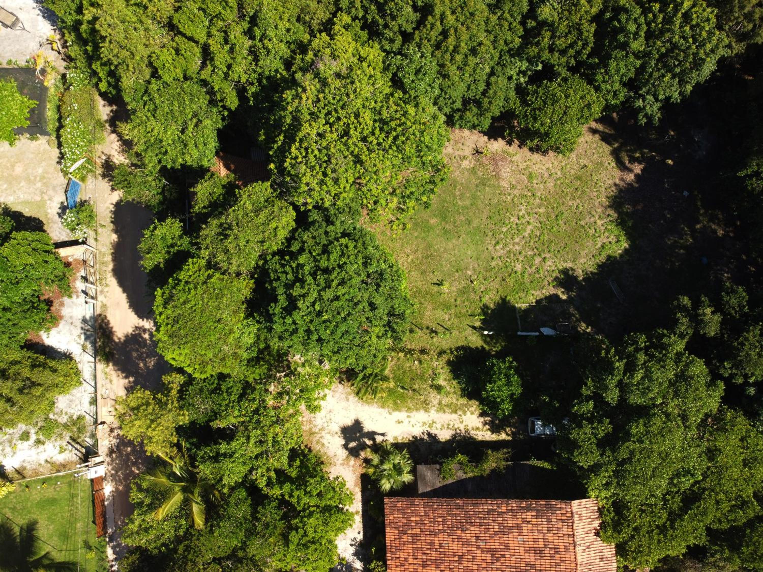 Espaço Pé de Mangaba - Natureza e Simplicidade