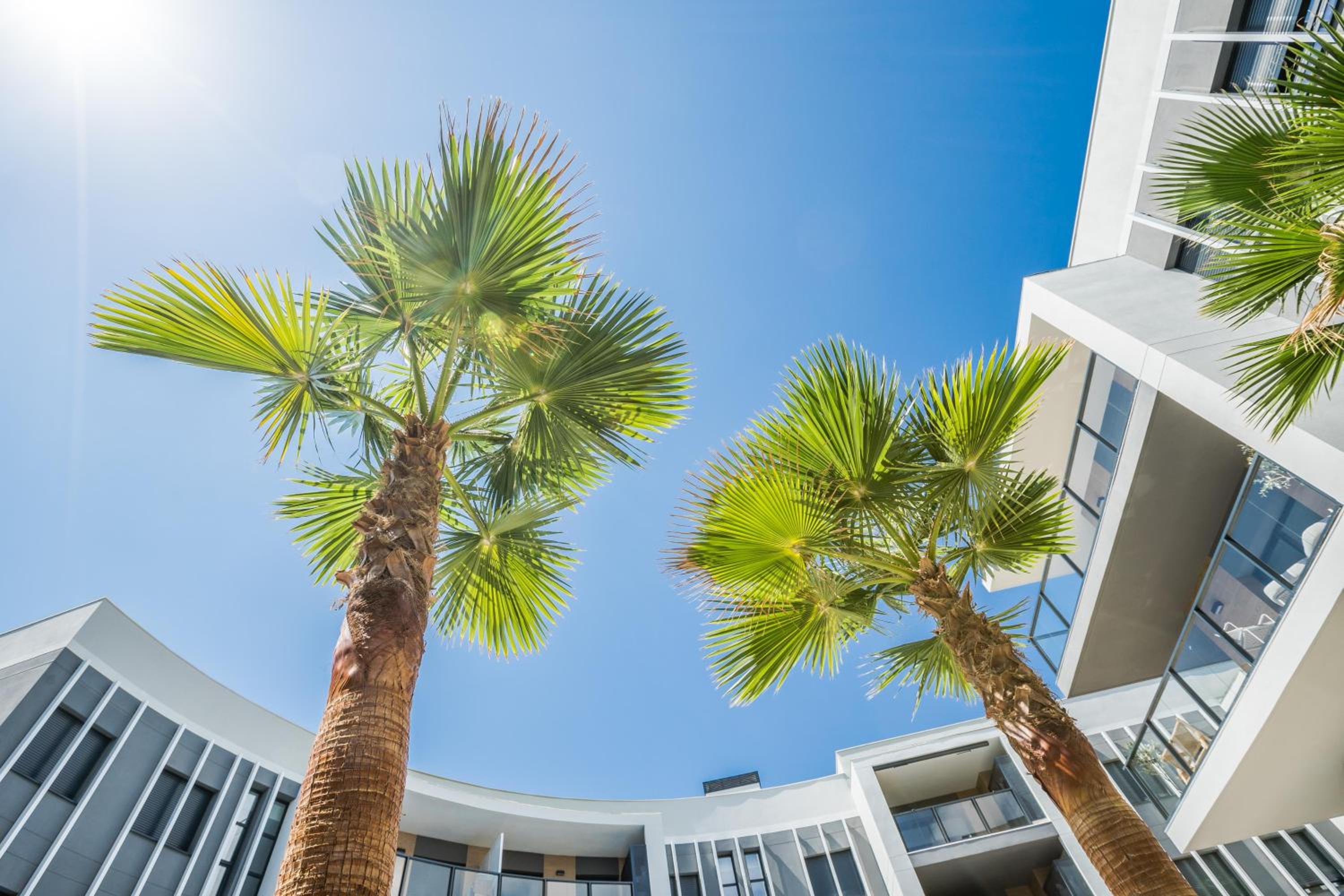 Prime Spanish Holidays - Essential Penthouse Apartments
