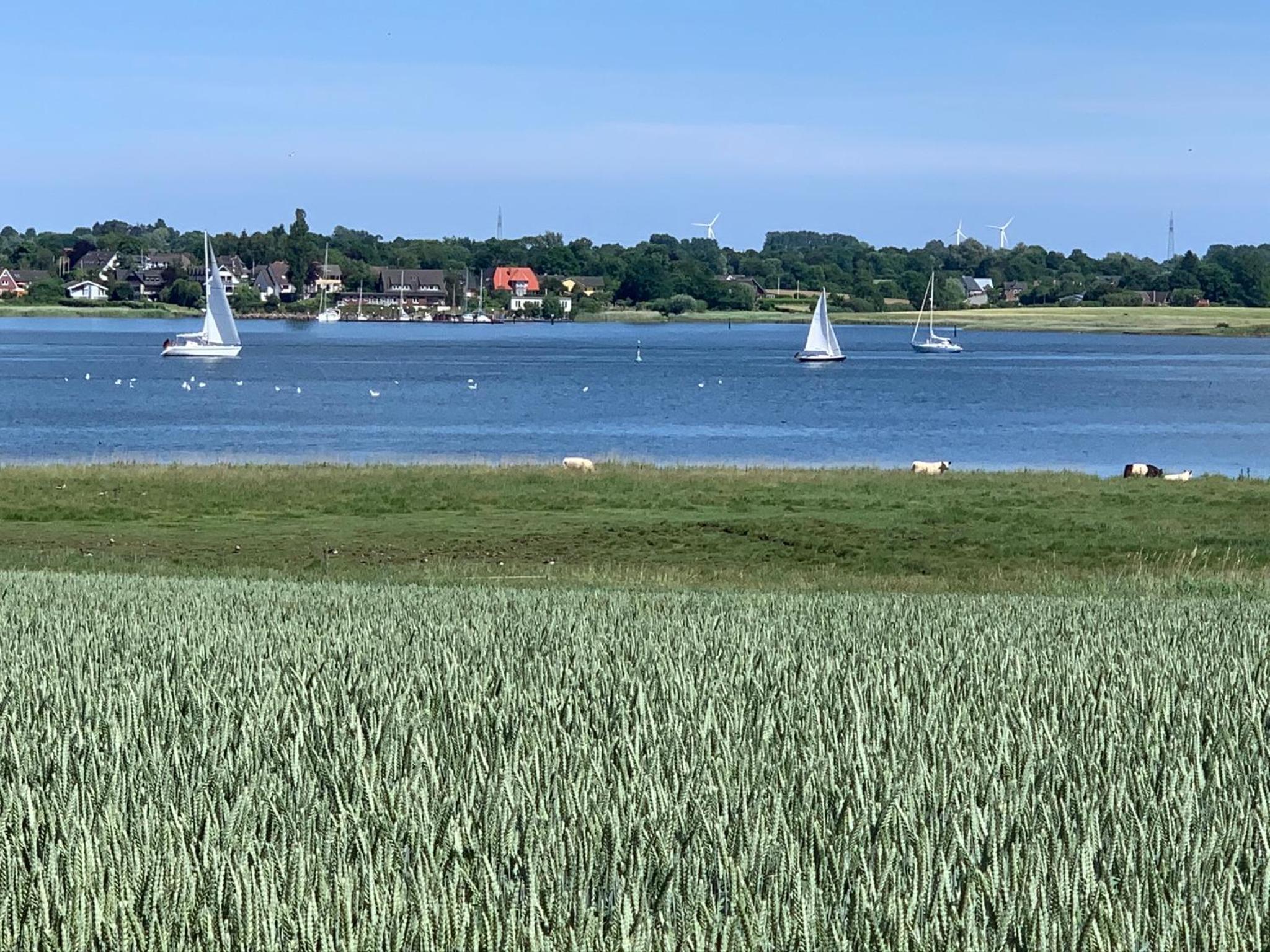 Schlei Feeling bei den Lund's - Sonniges Ferienhaus an der Schlei und nahe Ostsee