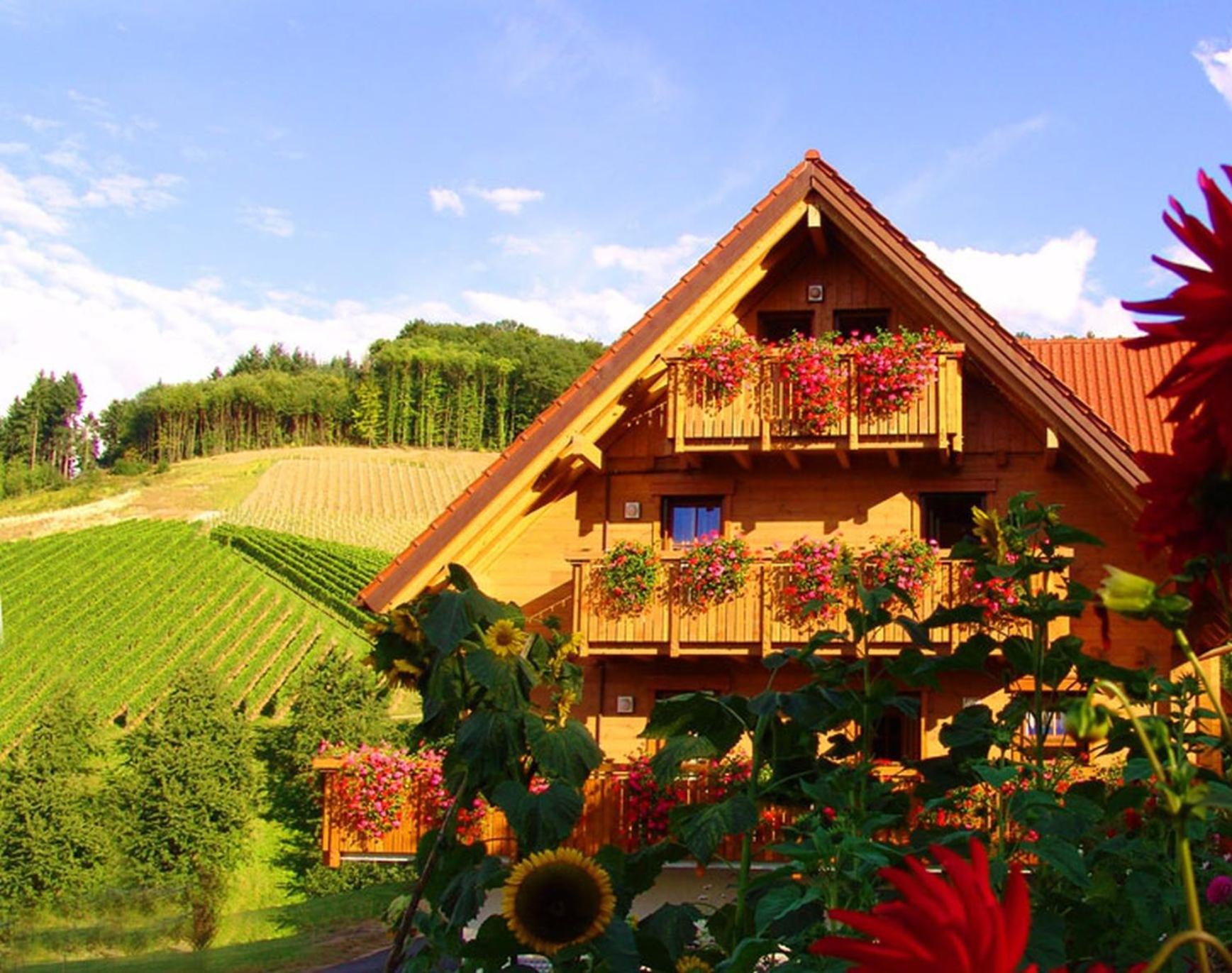Weingut und Ferienhof Josef Huber