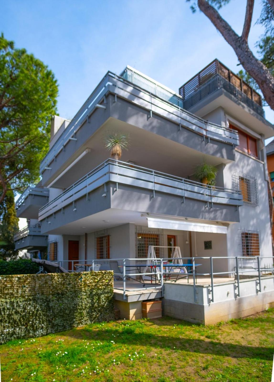 Lion house