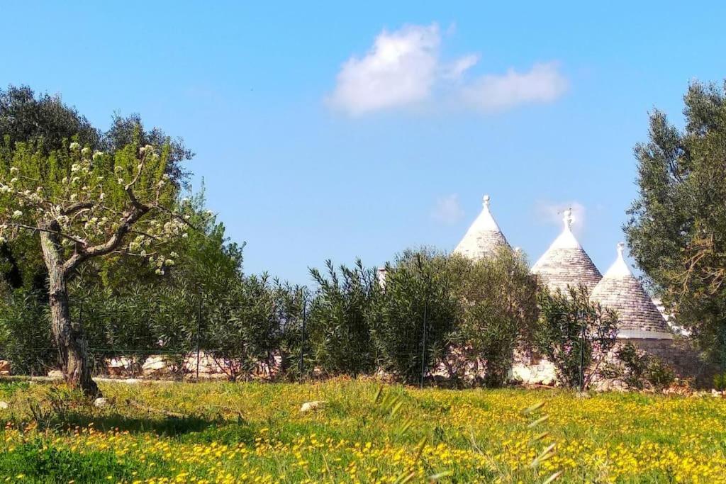 Trullo with swimming pool. Charme&relax