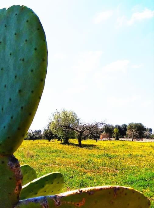 Trullo with swimming pool. Charme&relax