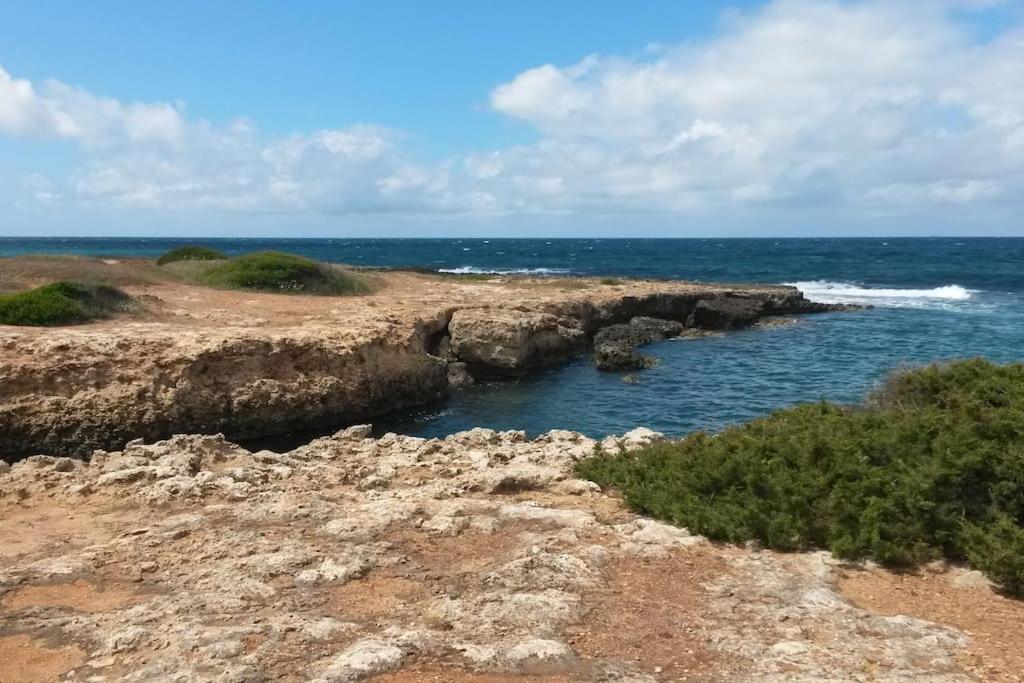 Trullo with swimming pool. Charme&relax
