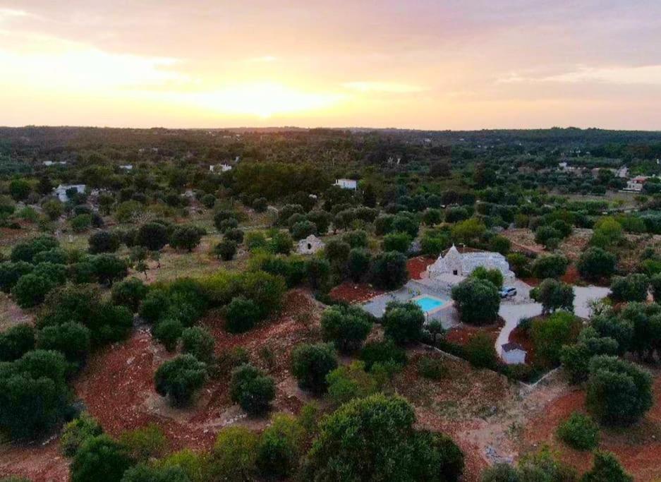 Trullo with swimming pool. Charme&relax