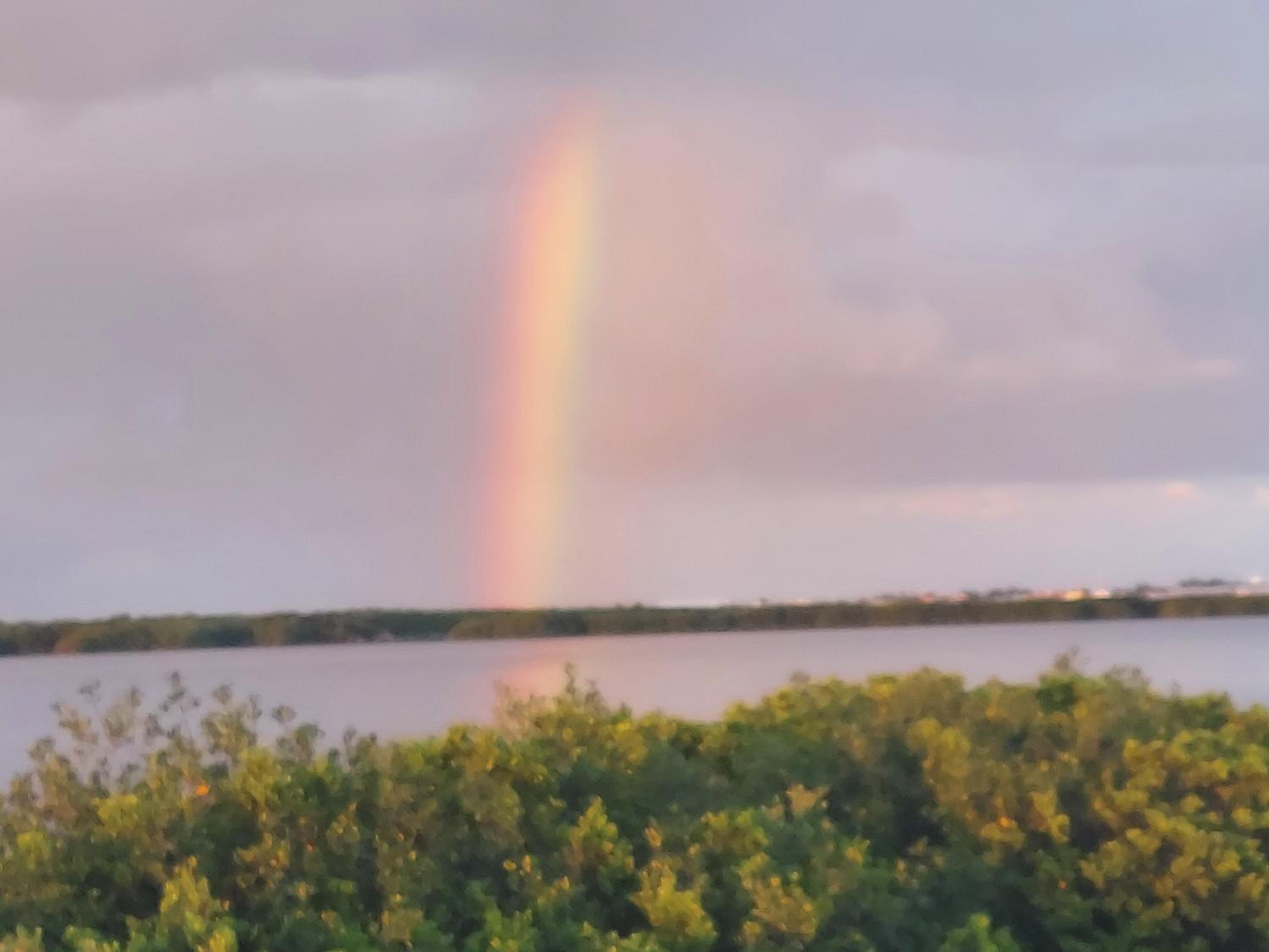 The Spot Tarpon Bay