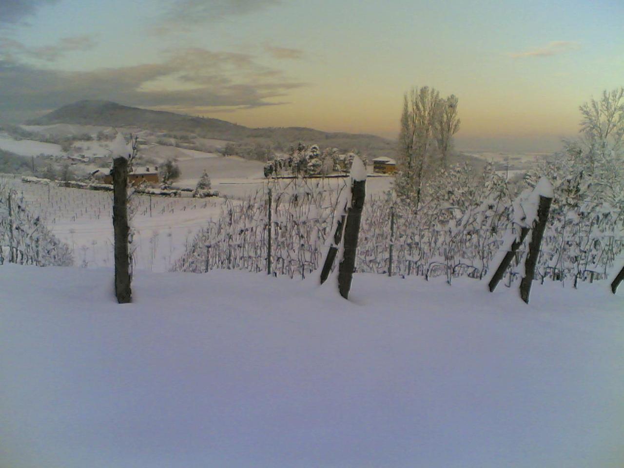 Villa Pallavicini B&B
