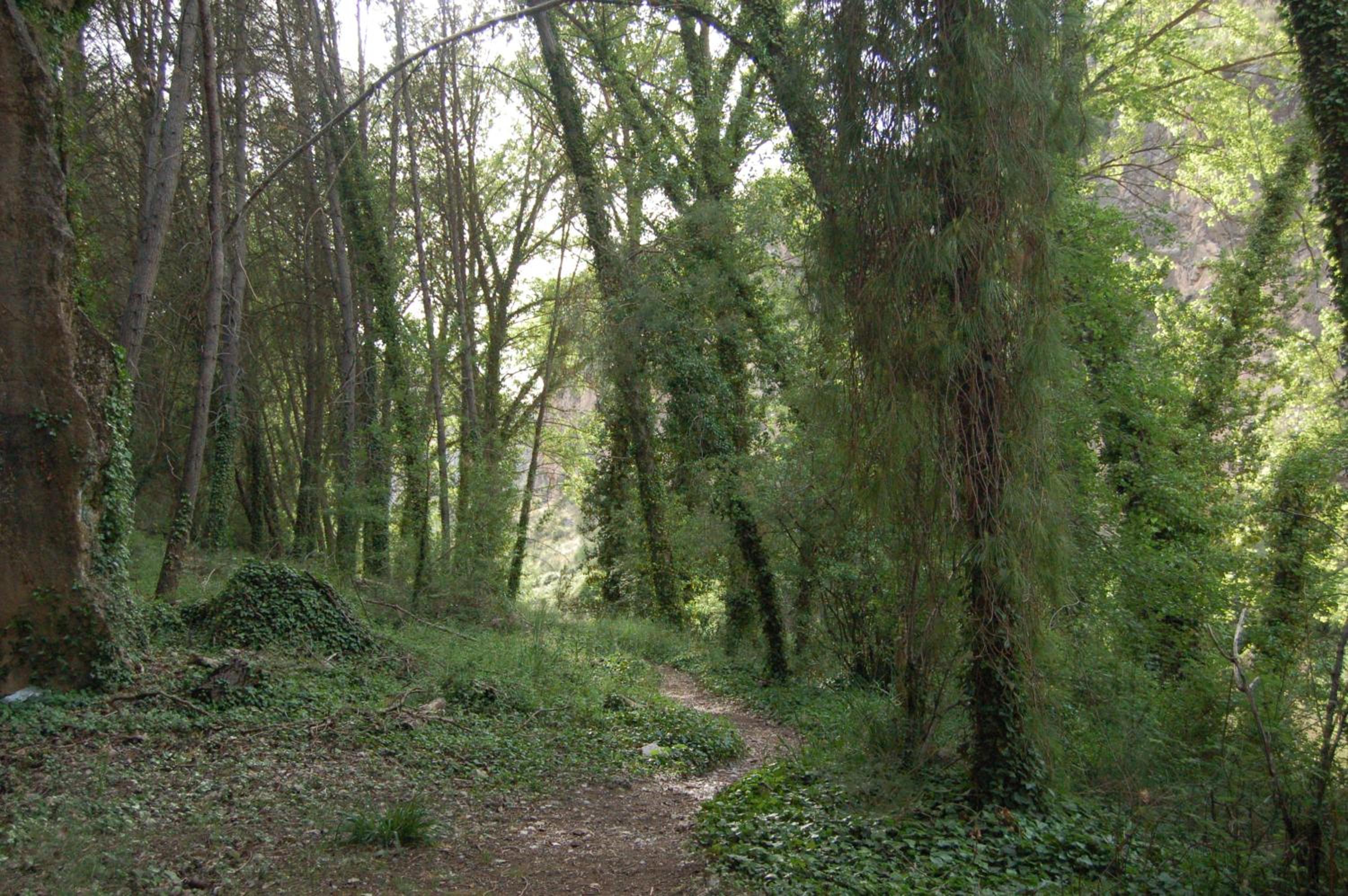 La Posada del Hidalgo de Alarcón