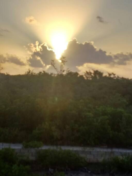The spot in Tarpon Bay