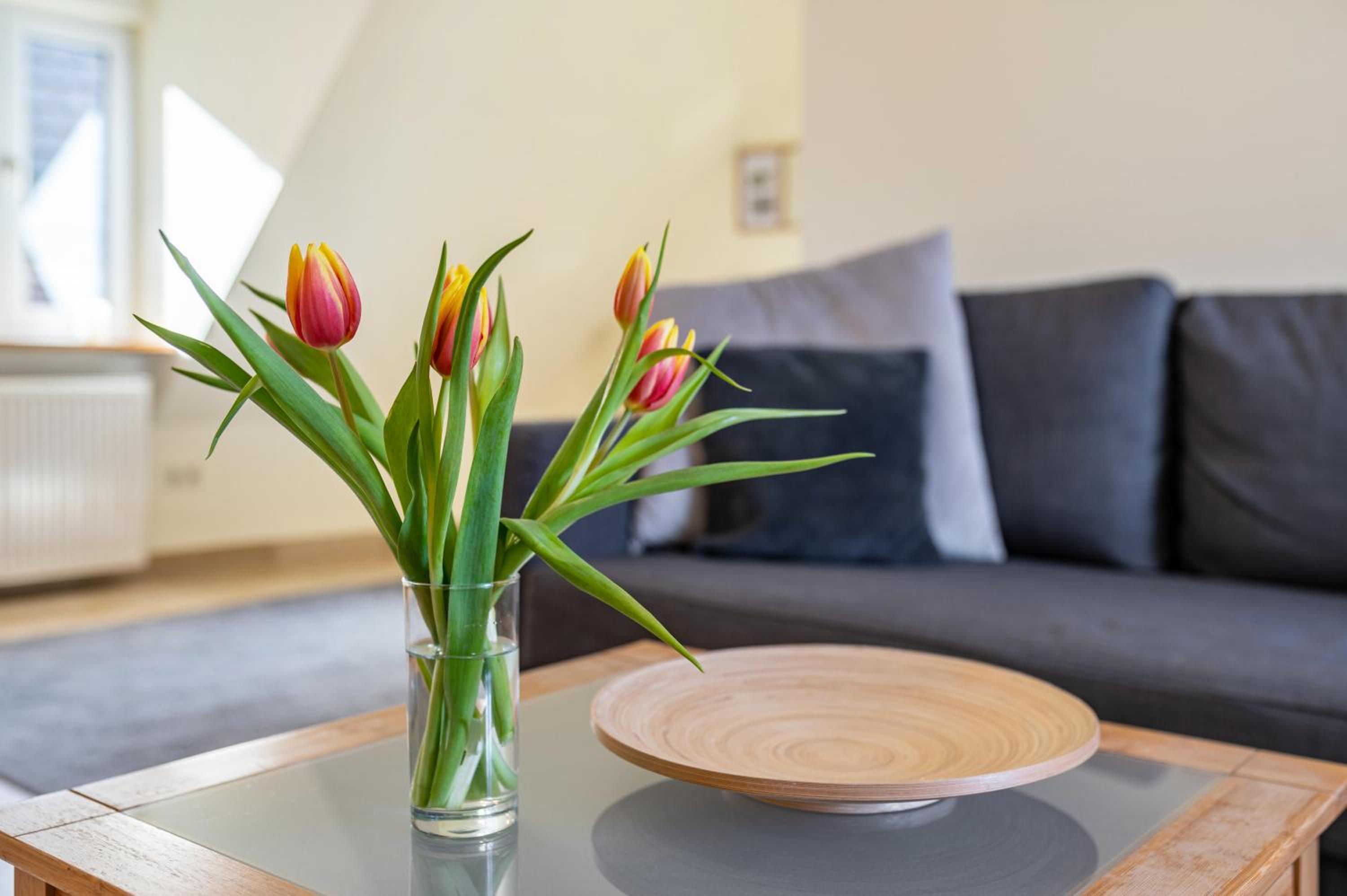 Ferienwohnung F Bolanz 1