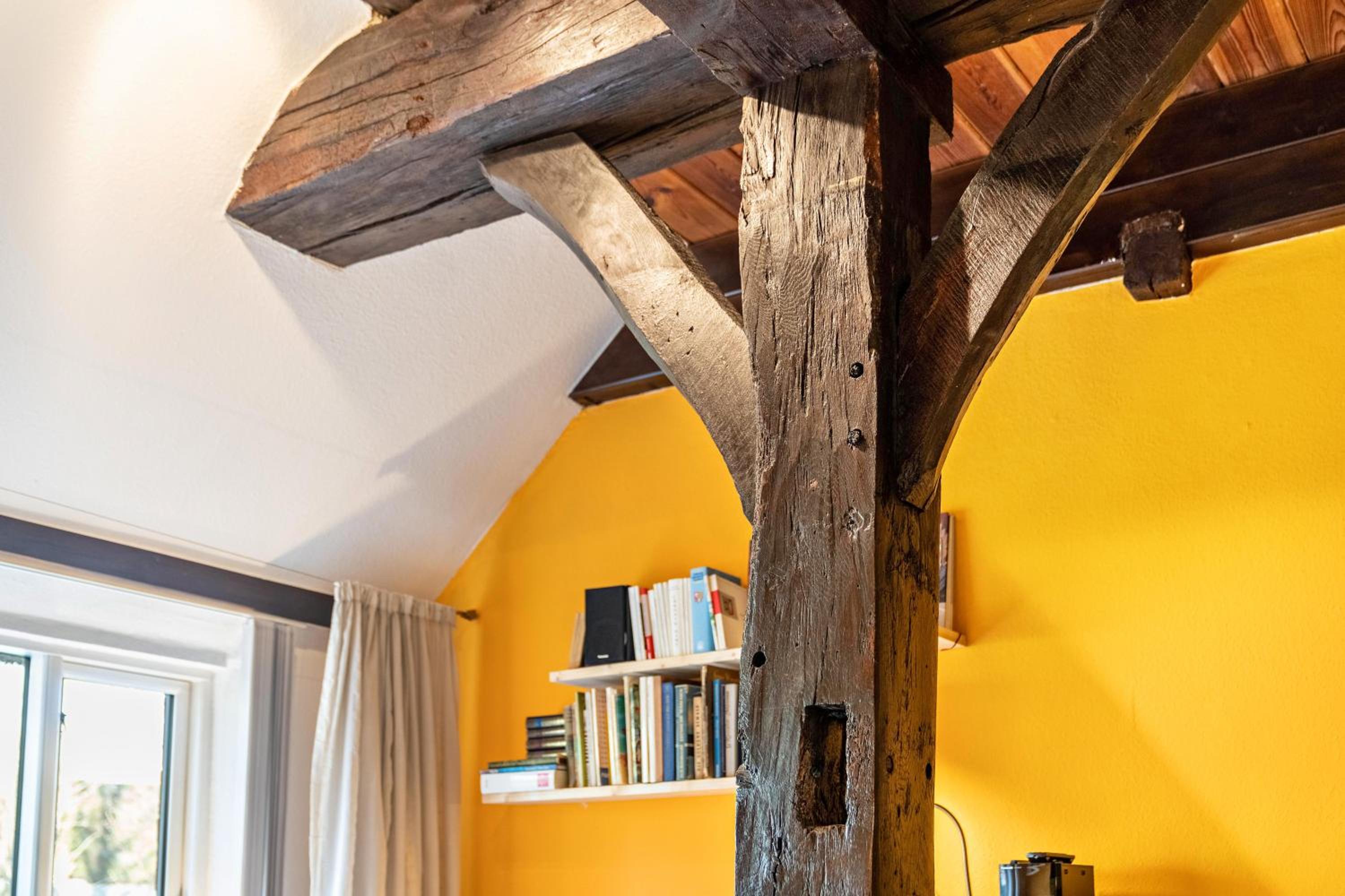Bücherträume