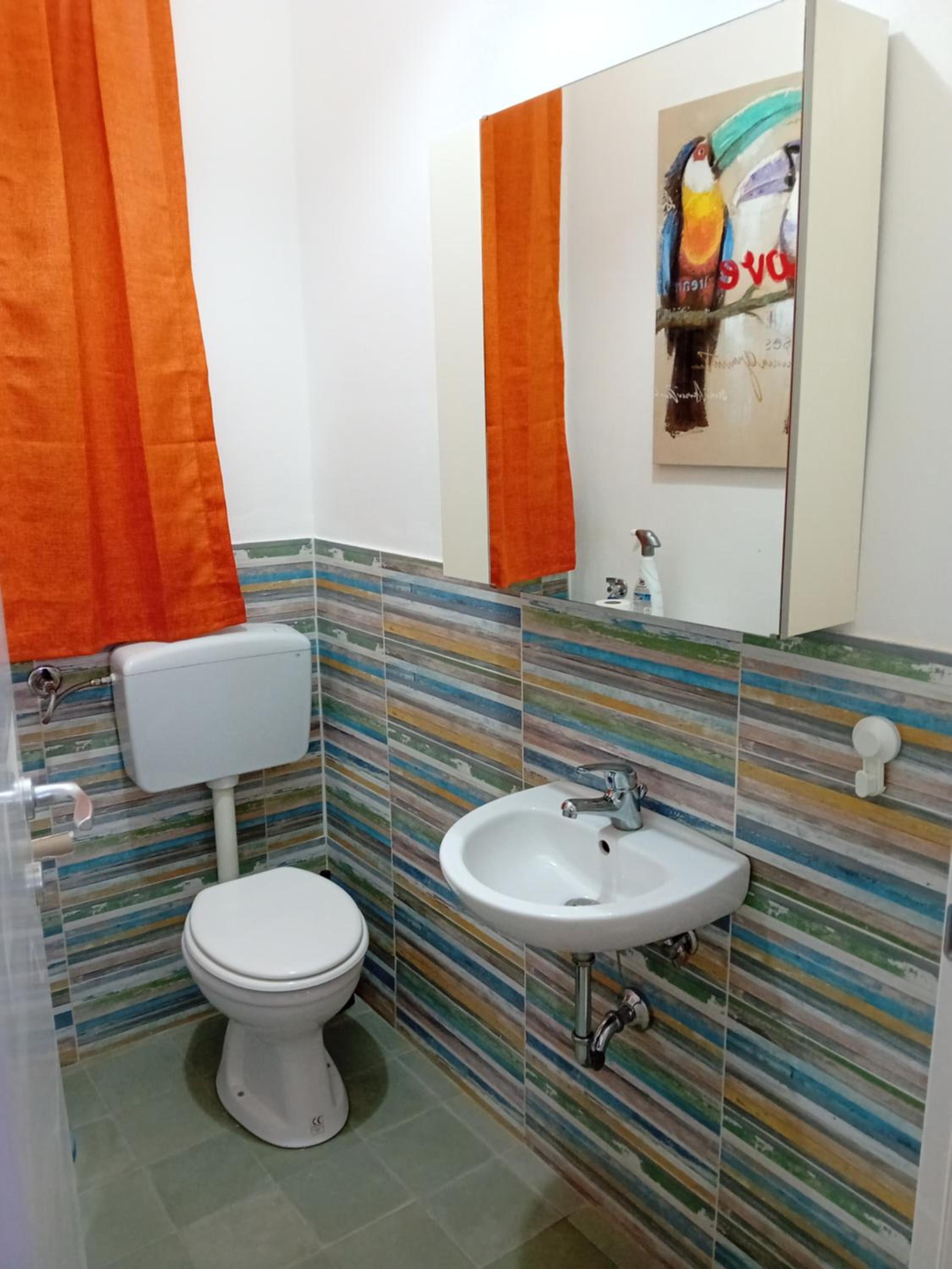 Photo 15