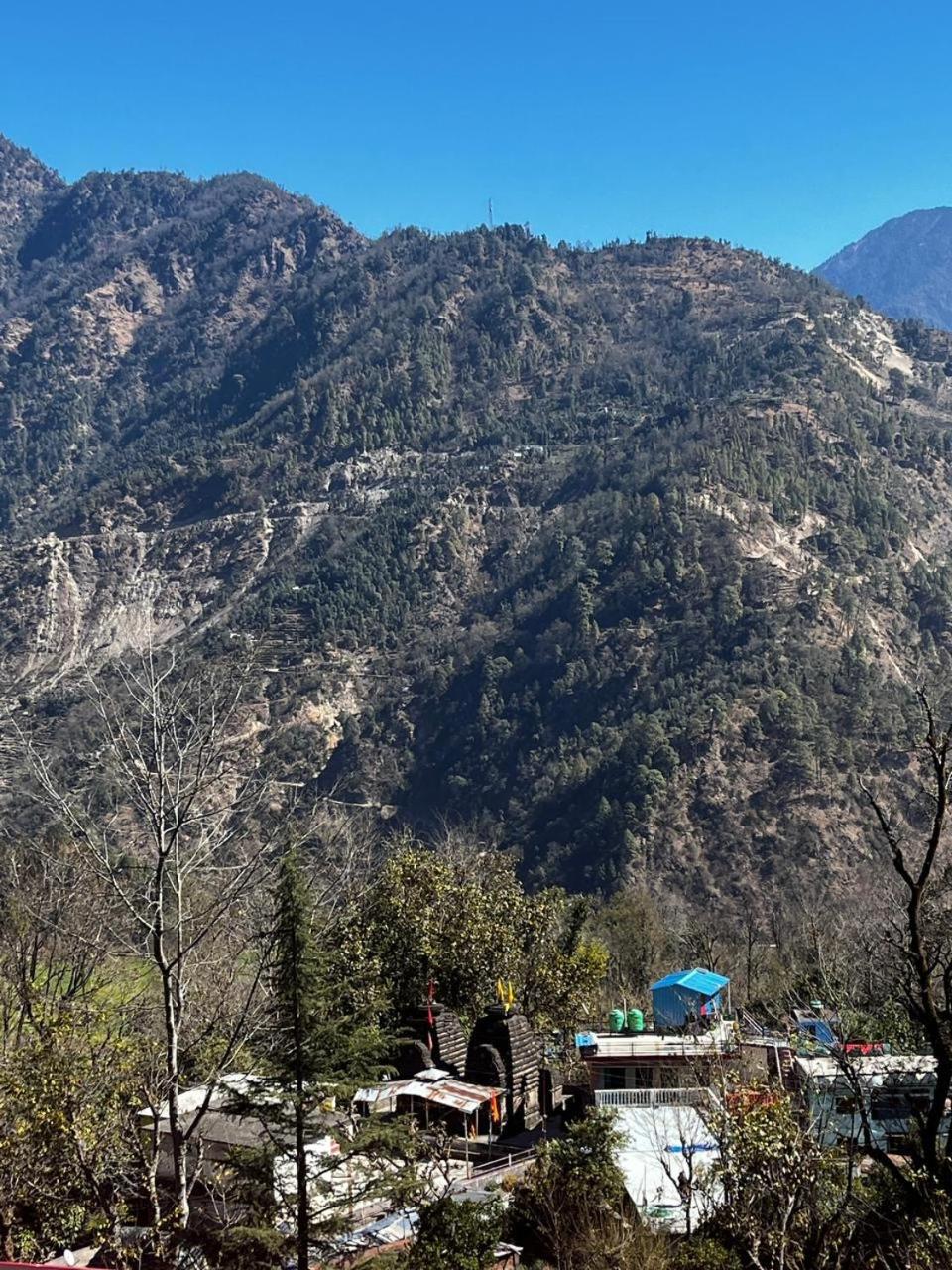 Hotel veerbhadra
