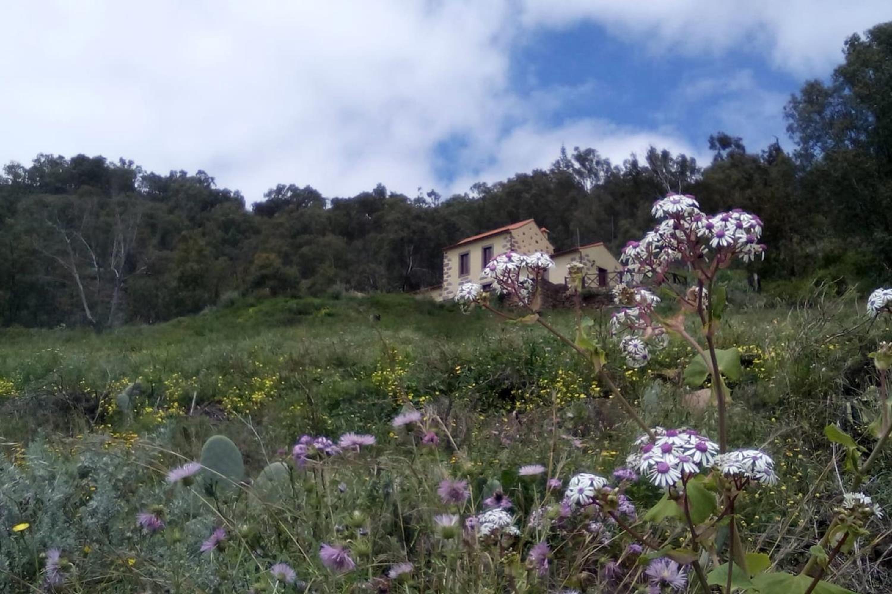 Charming house in La Pena with terrace and air conditioning