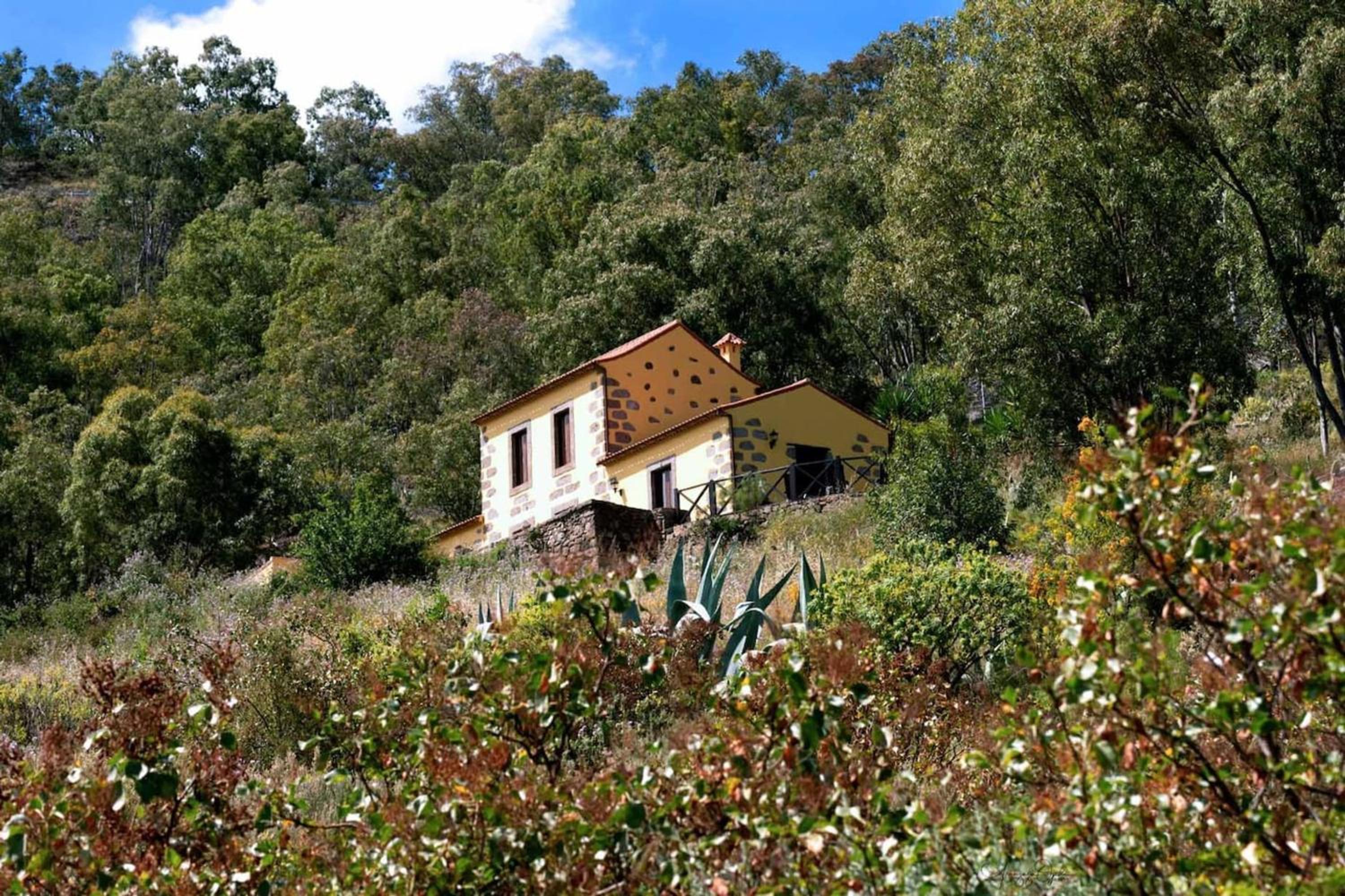 Charming house in La Pena with terrace and air conditioning