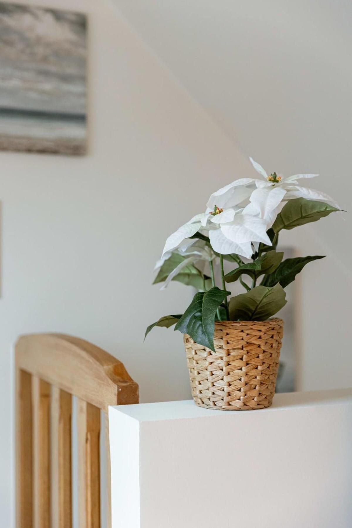 Bright apartment close to the sea