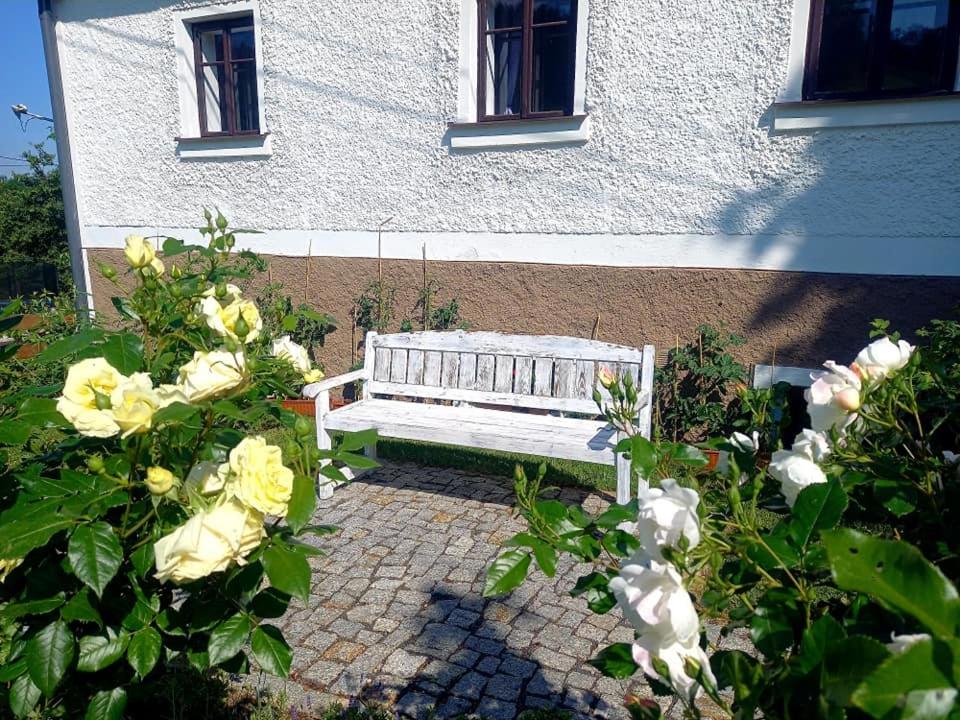 Jizerské hory, apartmány, zahrada, parkování zdarma